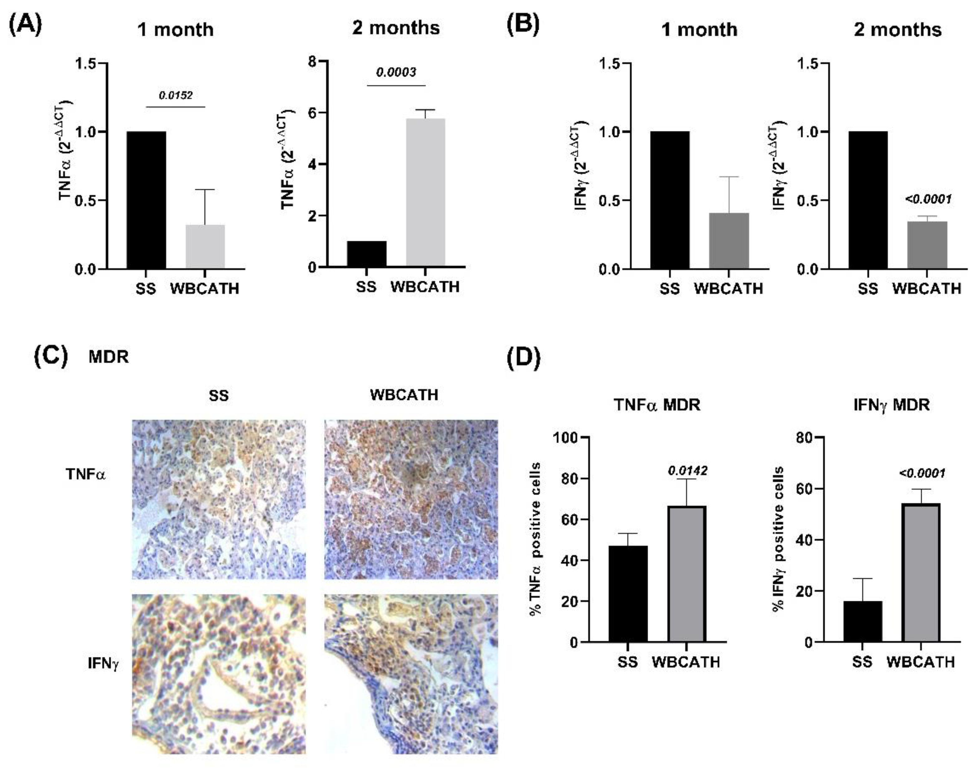 Antibiotics 12 00075 g007 Antibiotics 12 00075 g007