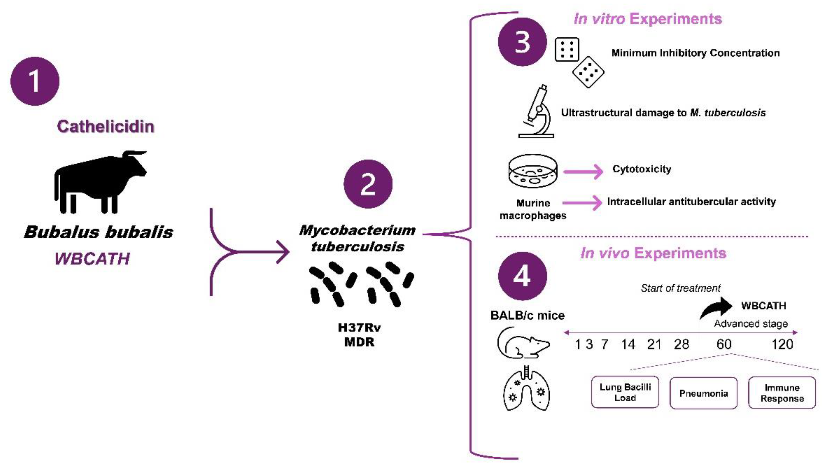 Antibiotics 12 00075 g010 Antibiotics 12 00075 g010