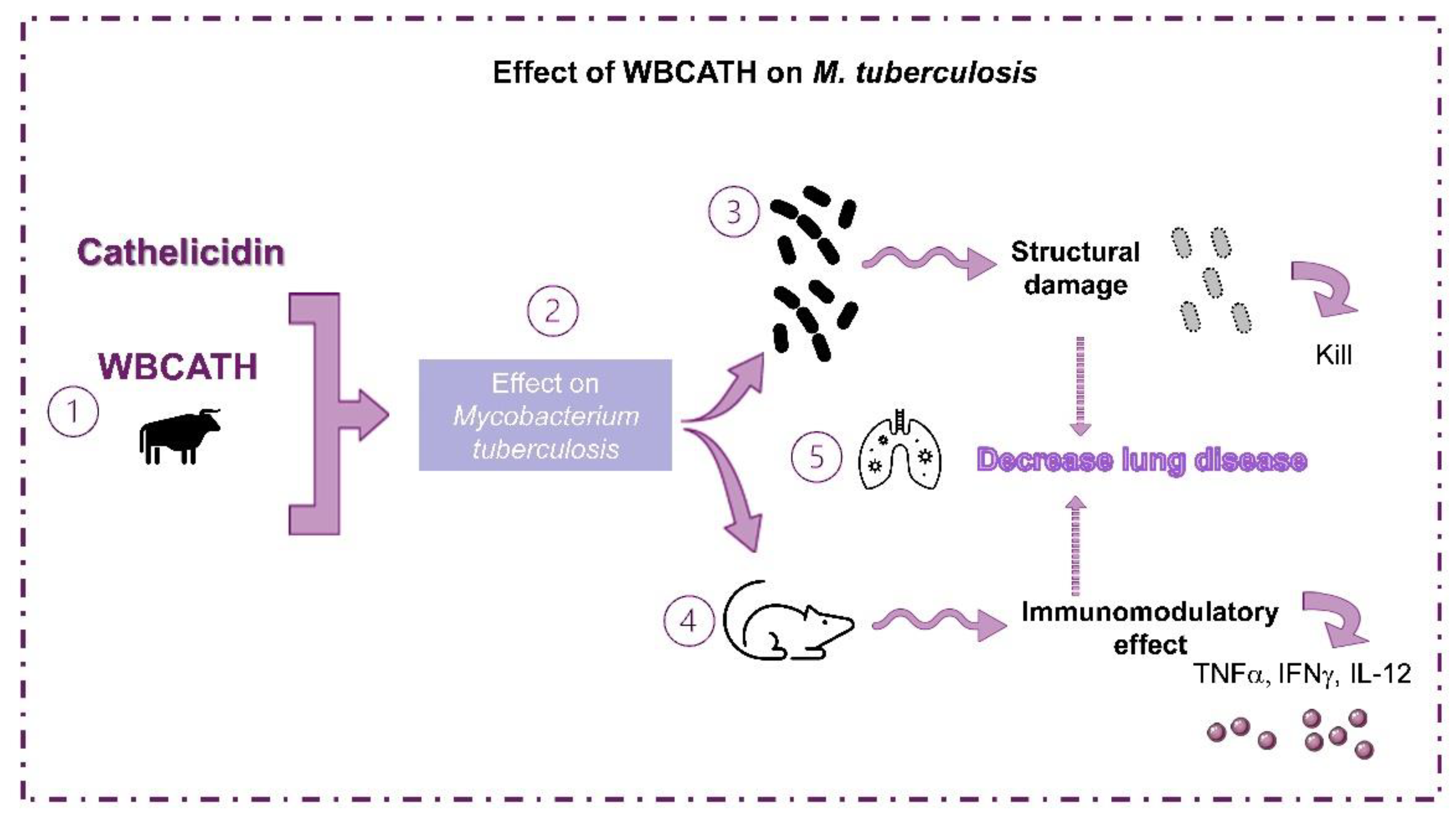 Antibiotics 12 00075 g011 Antibiotics 12 00075 g011