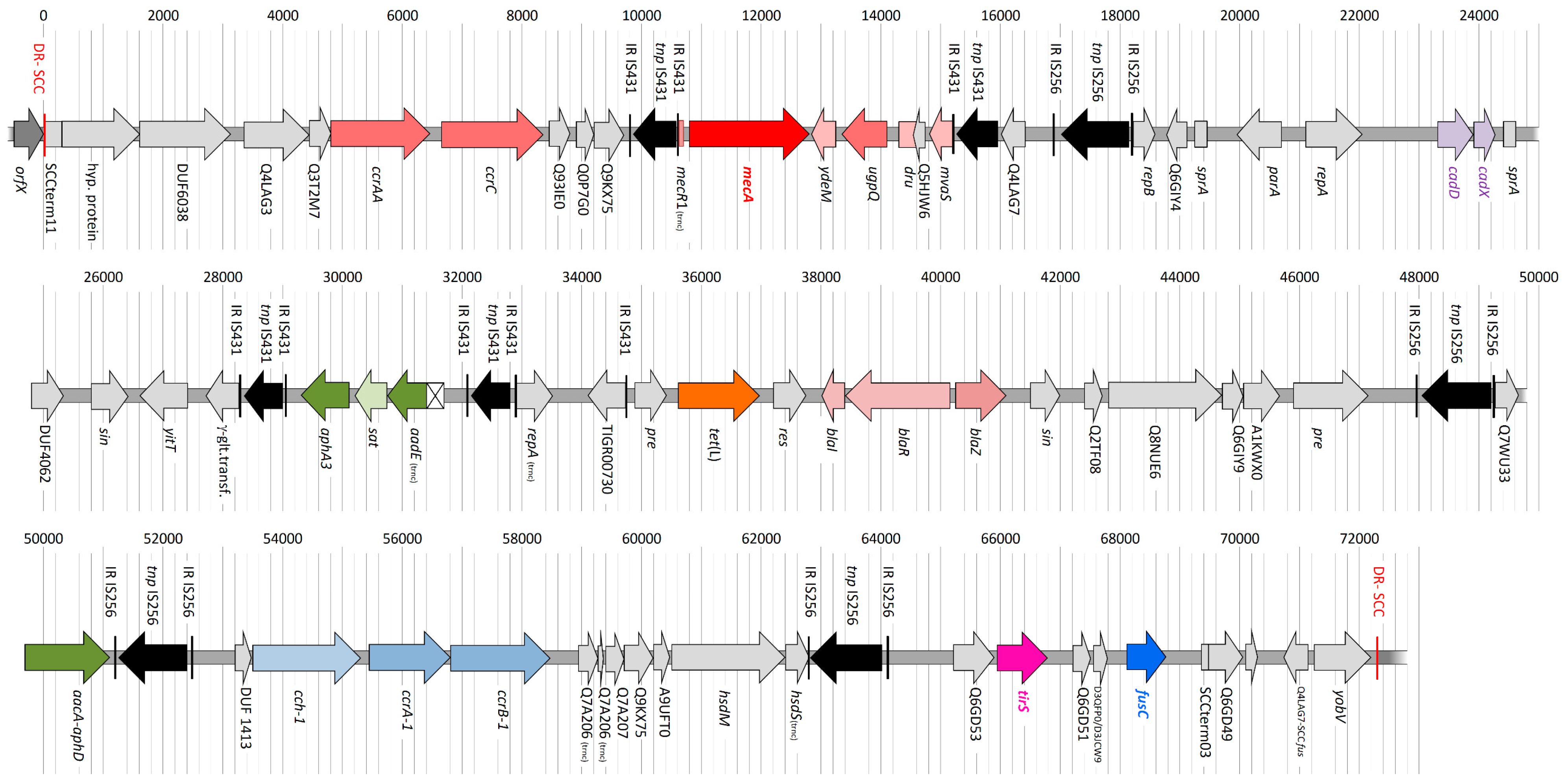Antibiotics 12 00078 g001 Antibiotics 12 00078 g001