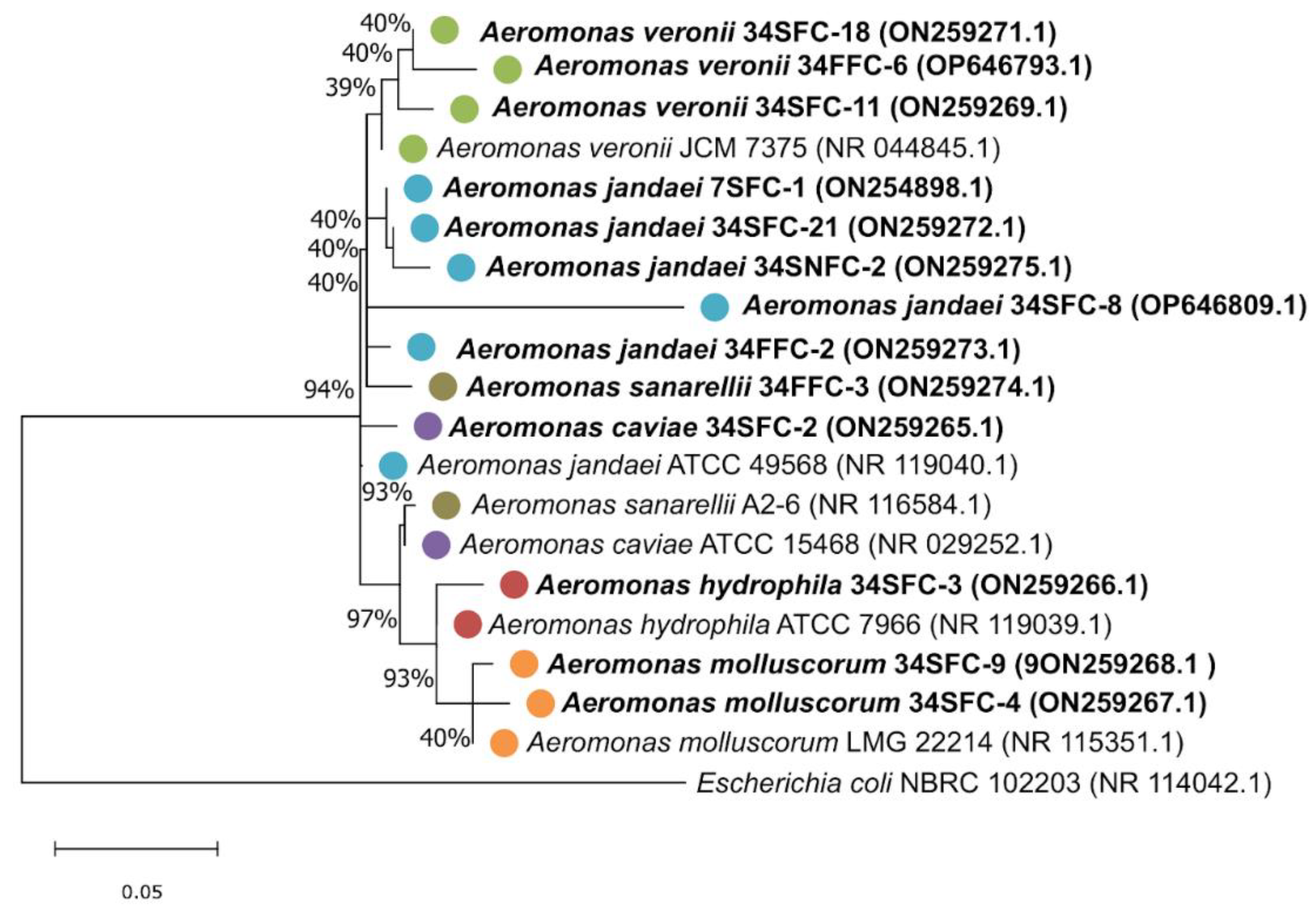 Antibiotics 12 00084 g001 Antibiotics 12 00084 g001