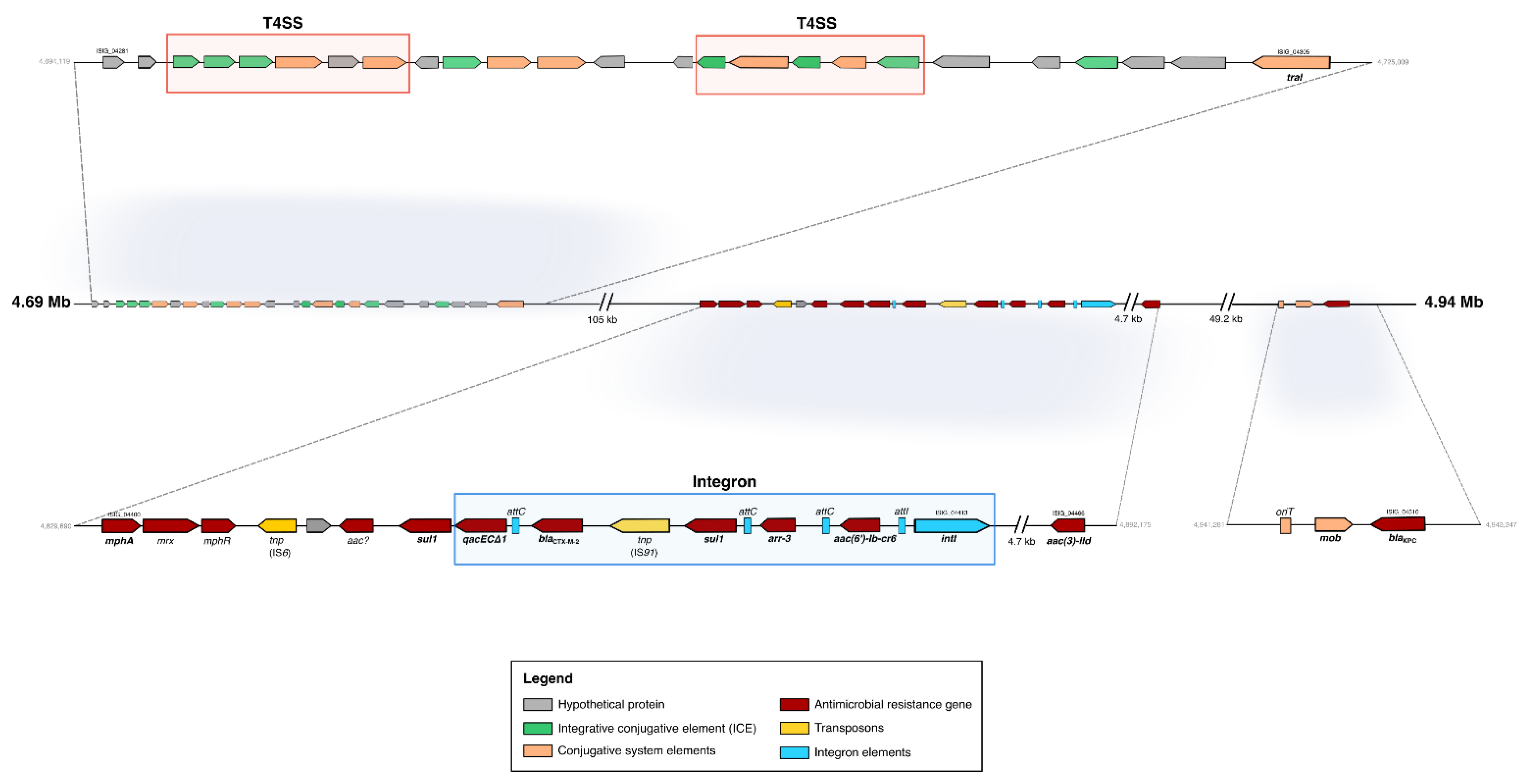 Antibiotics 12 00084 g003 Antibiotics 12 00084 g003