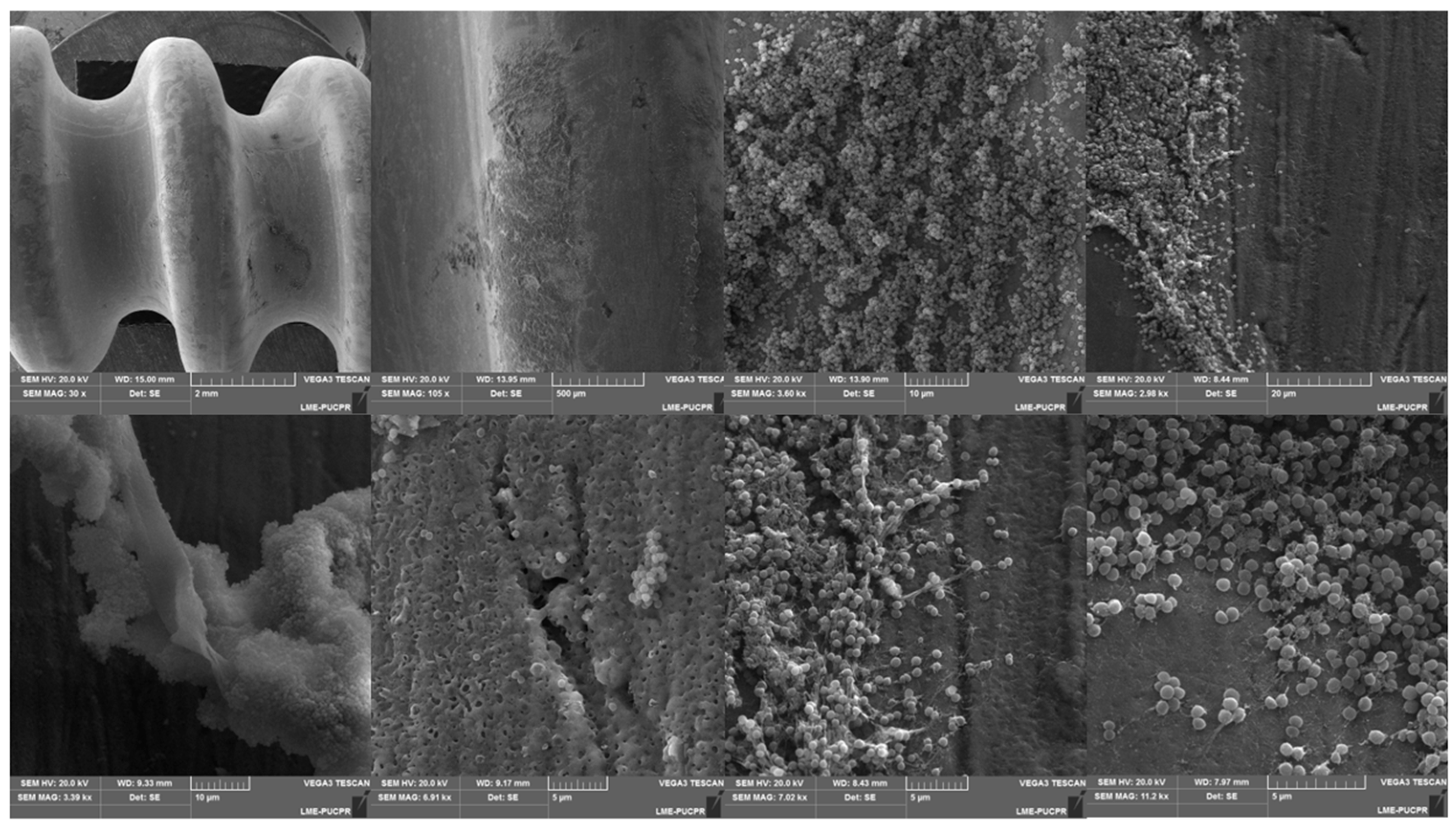 Antibiotics 12 00087 g003 Antibiotics 12 00087 g003