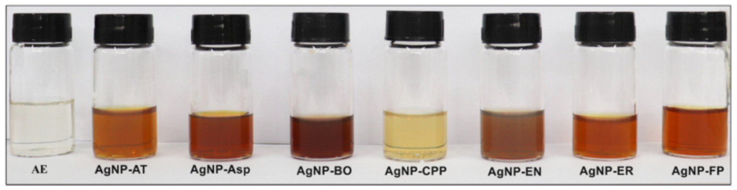 Antibiotics 12 00091 g002