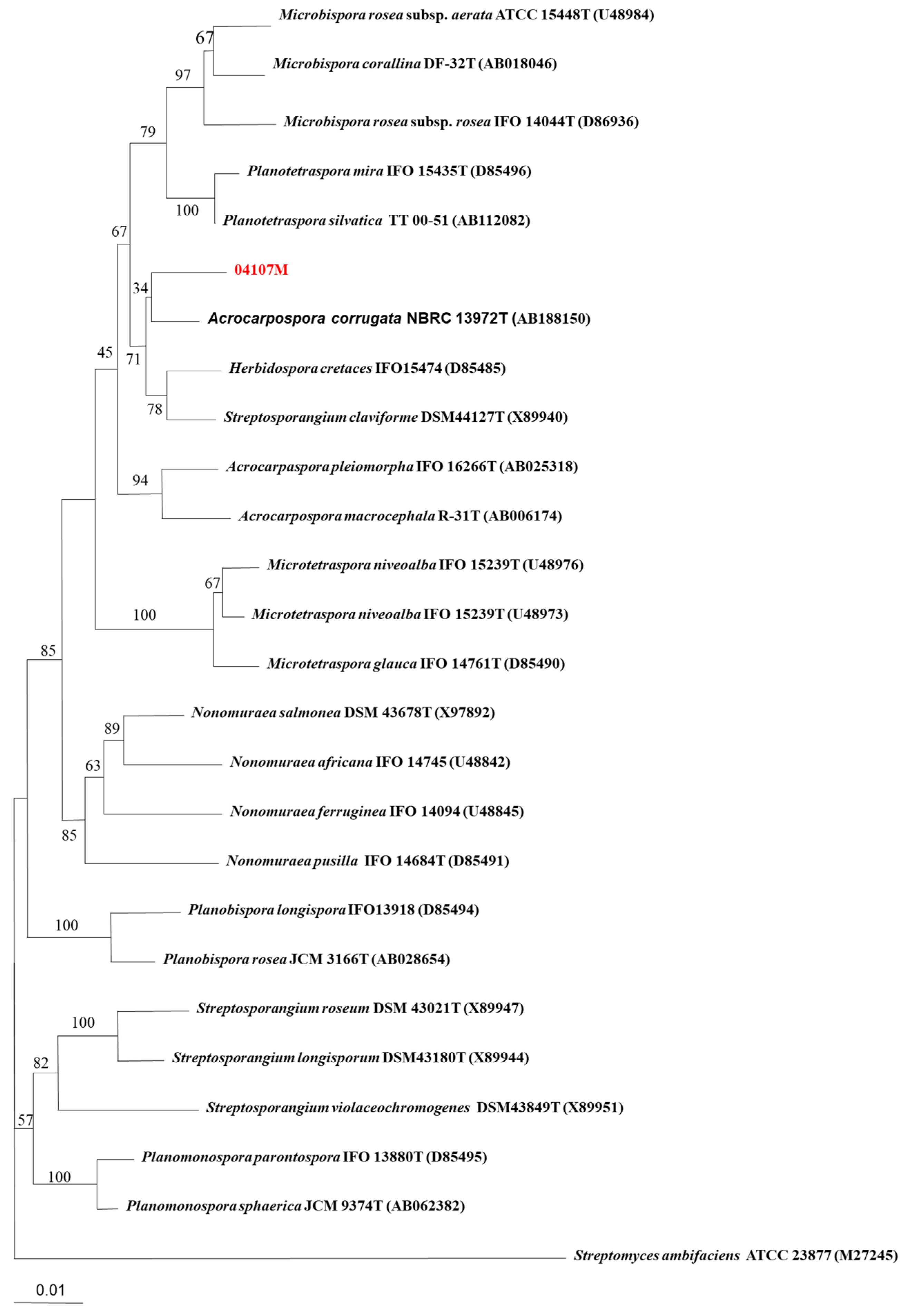 Antibiotics 12 00095 g001