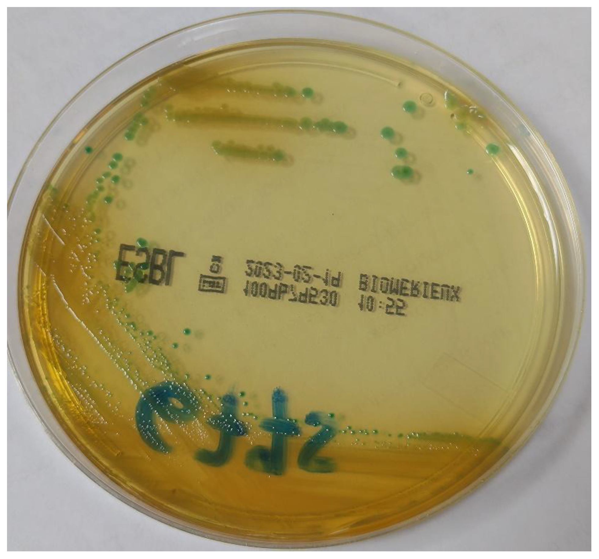 Antibiotics 12 00098 g001 Antibiotics 12 00098 g001