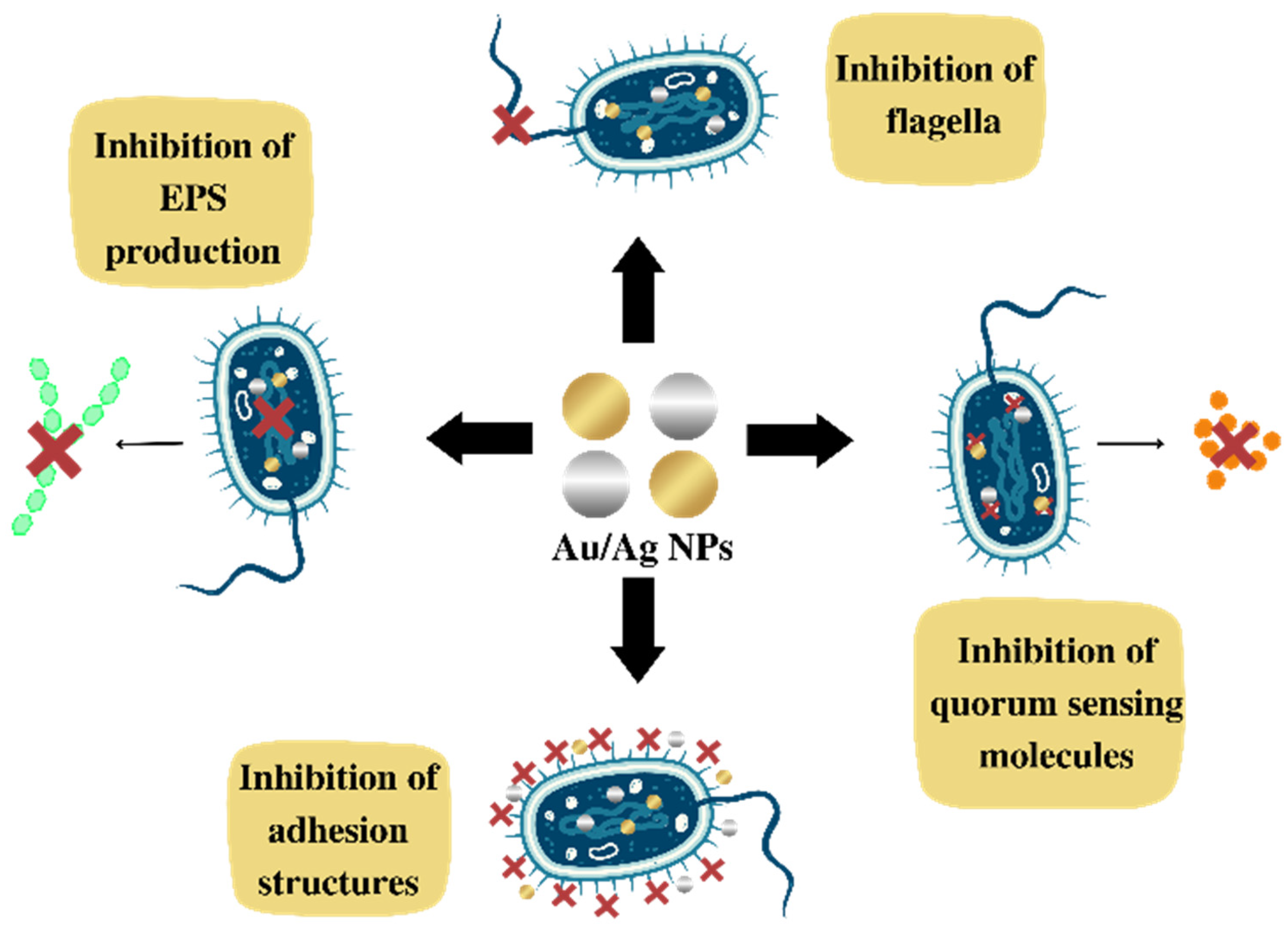 Antibiotics 12 00104 g003