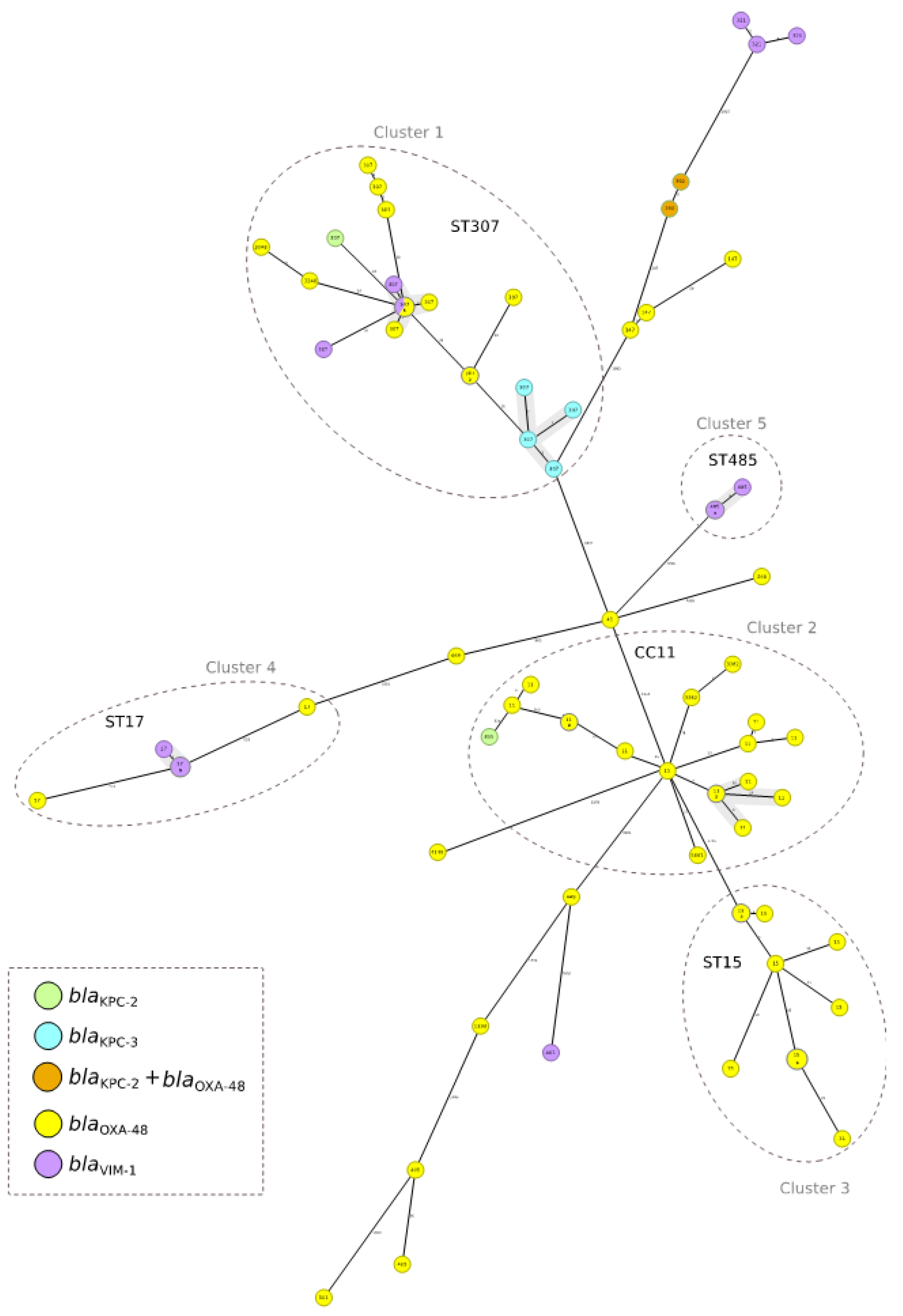 Antibiotics 12 00107 g001 Antibiotics 12 00107 g001