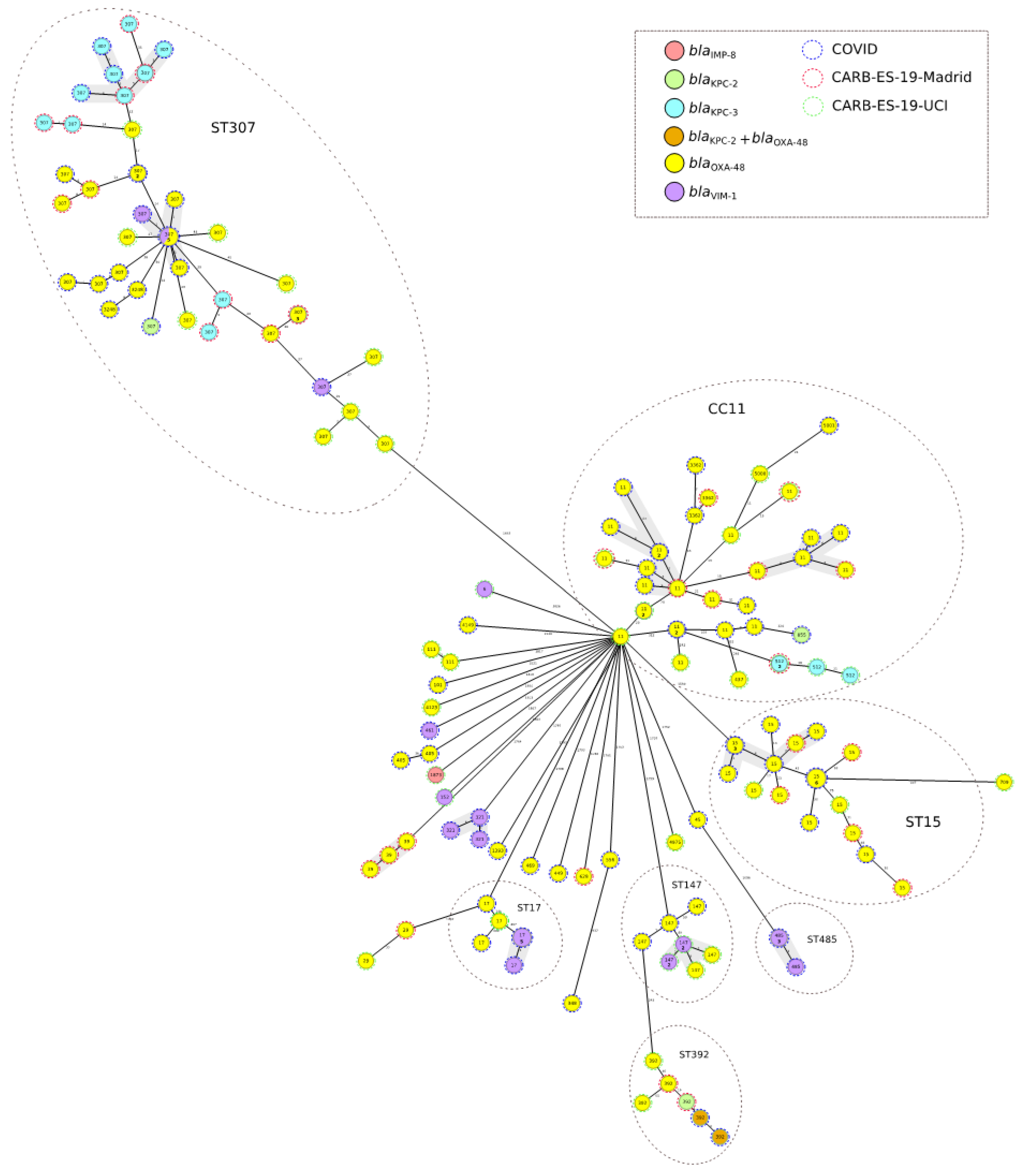 Antibiotics 12 00107 g002 Antibiotics 12 00107 g002