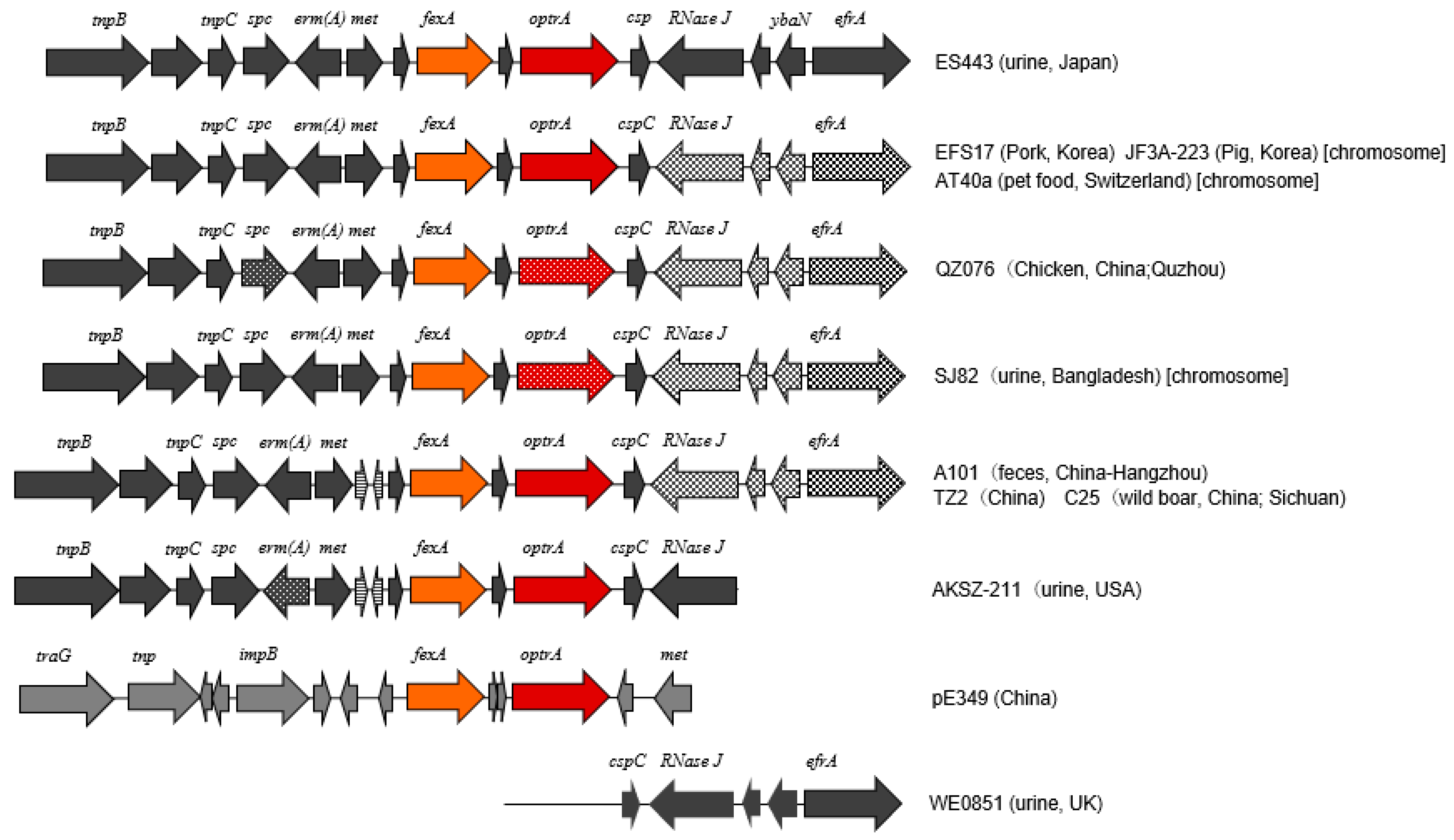 Antibiotics 12 00108 g001