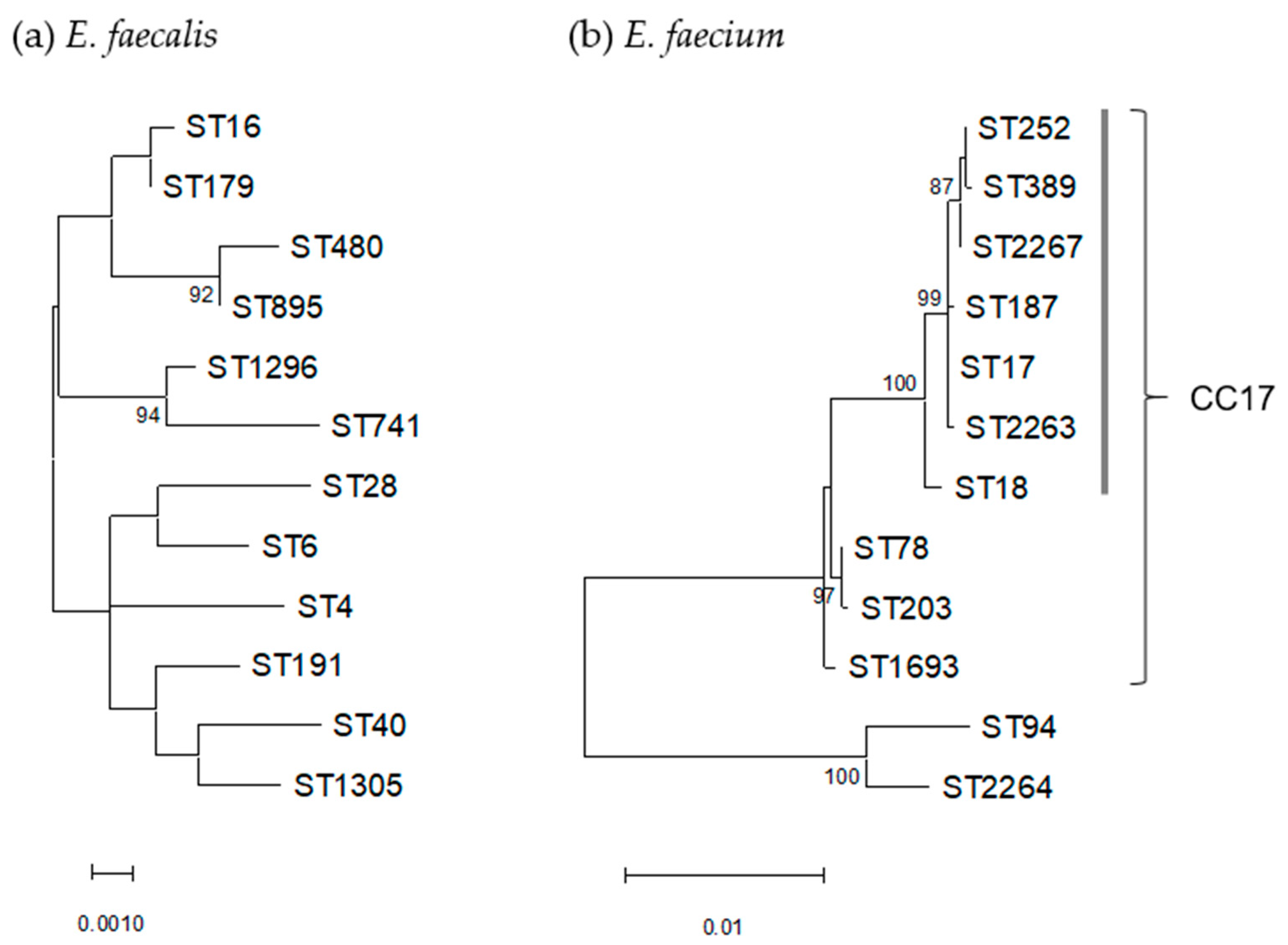 Antibiotics 12 00108 g002