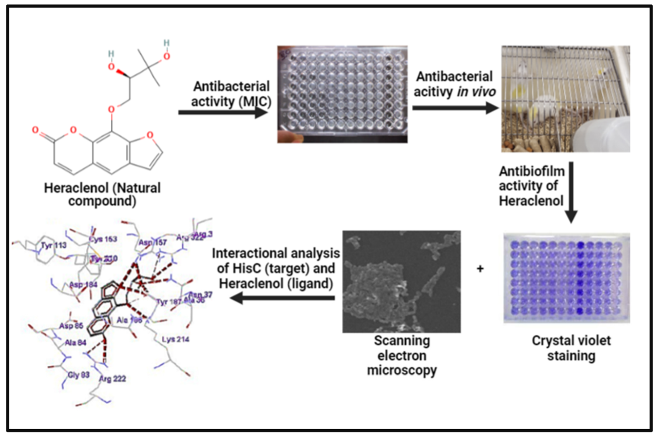 Antibiotics 12 00110 g001 Antibiotics 12 00110 g001