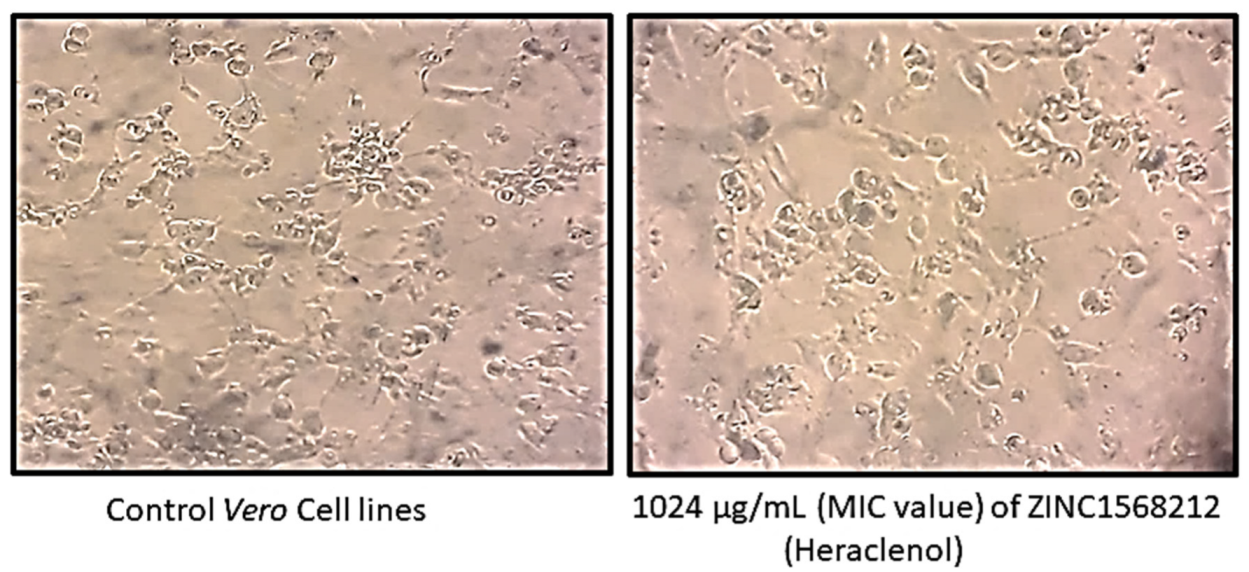 Antibiotics 12 00110 g002 Antibiotics 12 00110 g002