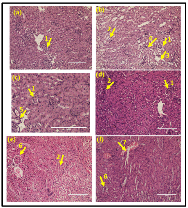 Antibiotics 12 00110 g004 Antibiotics 12 00110 g004
