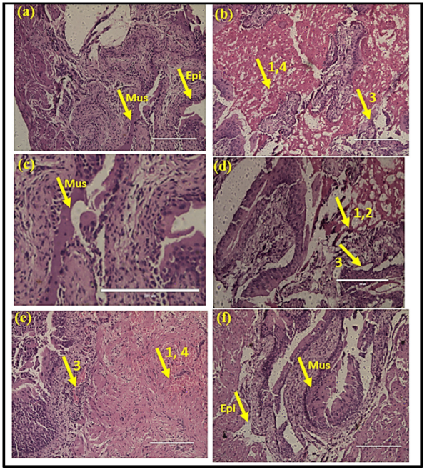 Antibiotics 12 00110 g005 Antibiotics 12 00110 g005