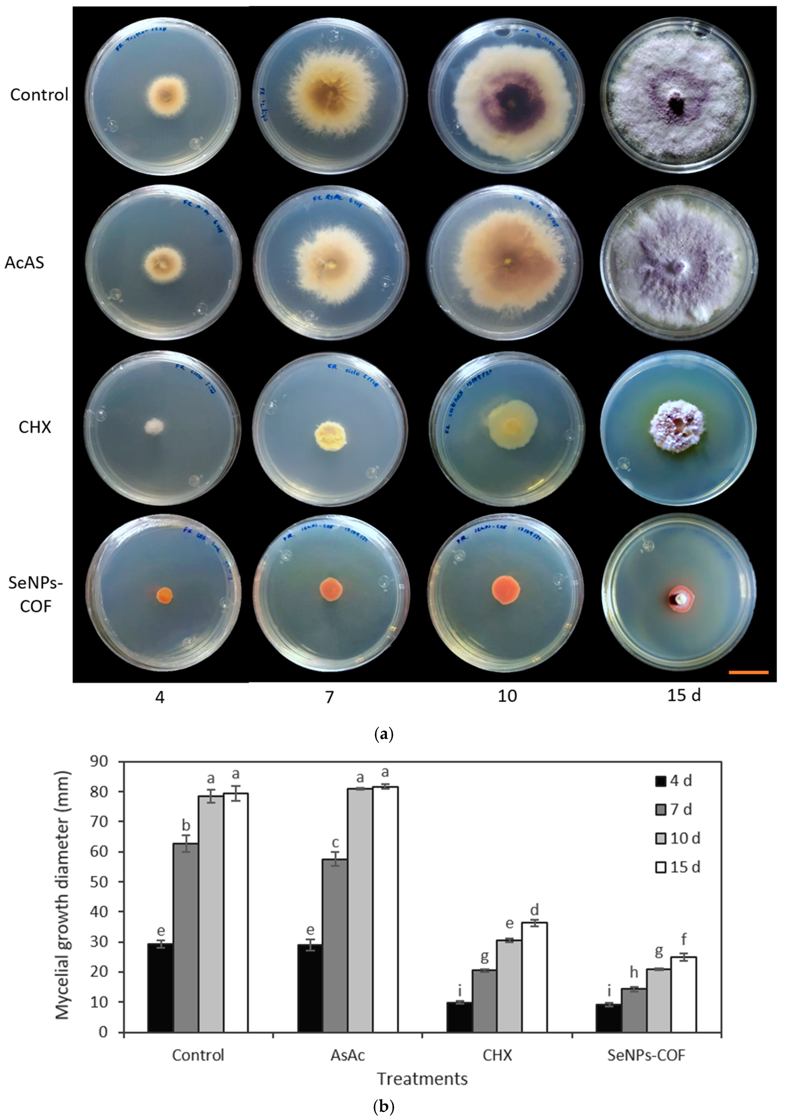 Antibiotics 12 00115 g006 Antibiotics 12 00115 g006