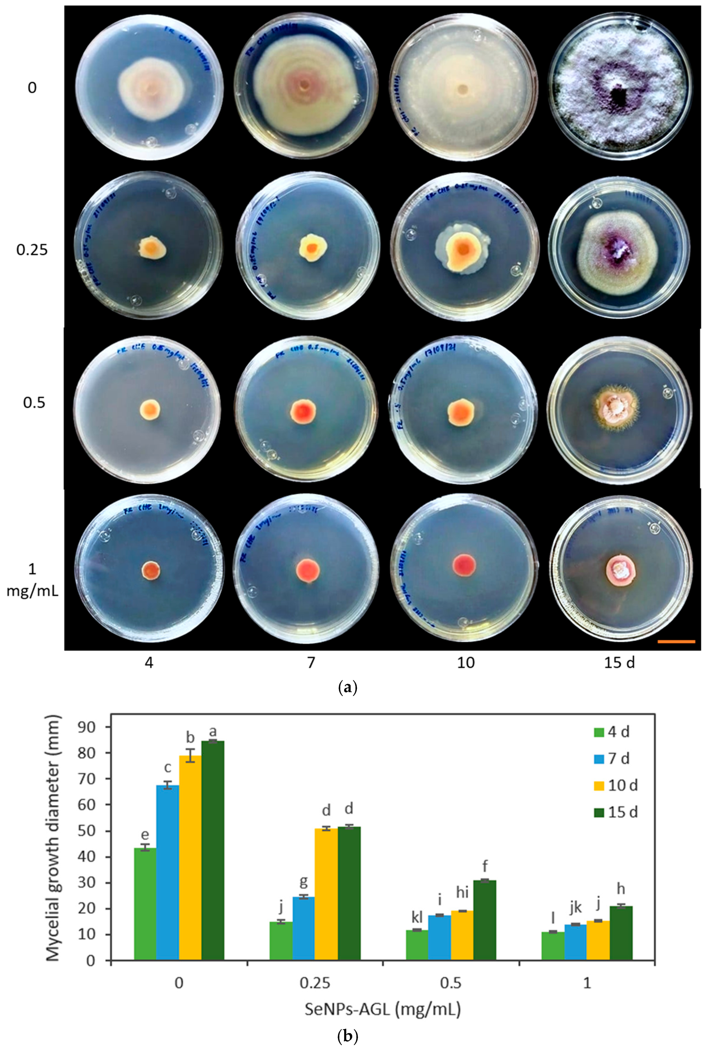 Antibiotics 12 00115 g008 Antibiotics 12 00115 g008