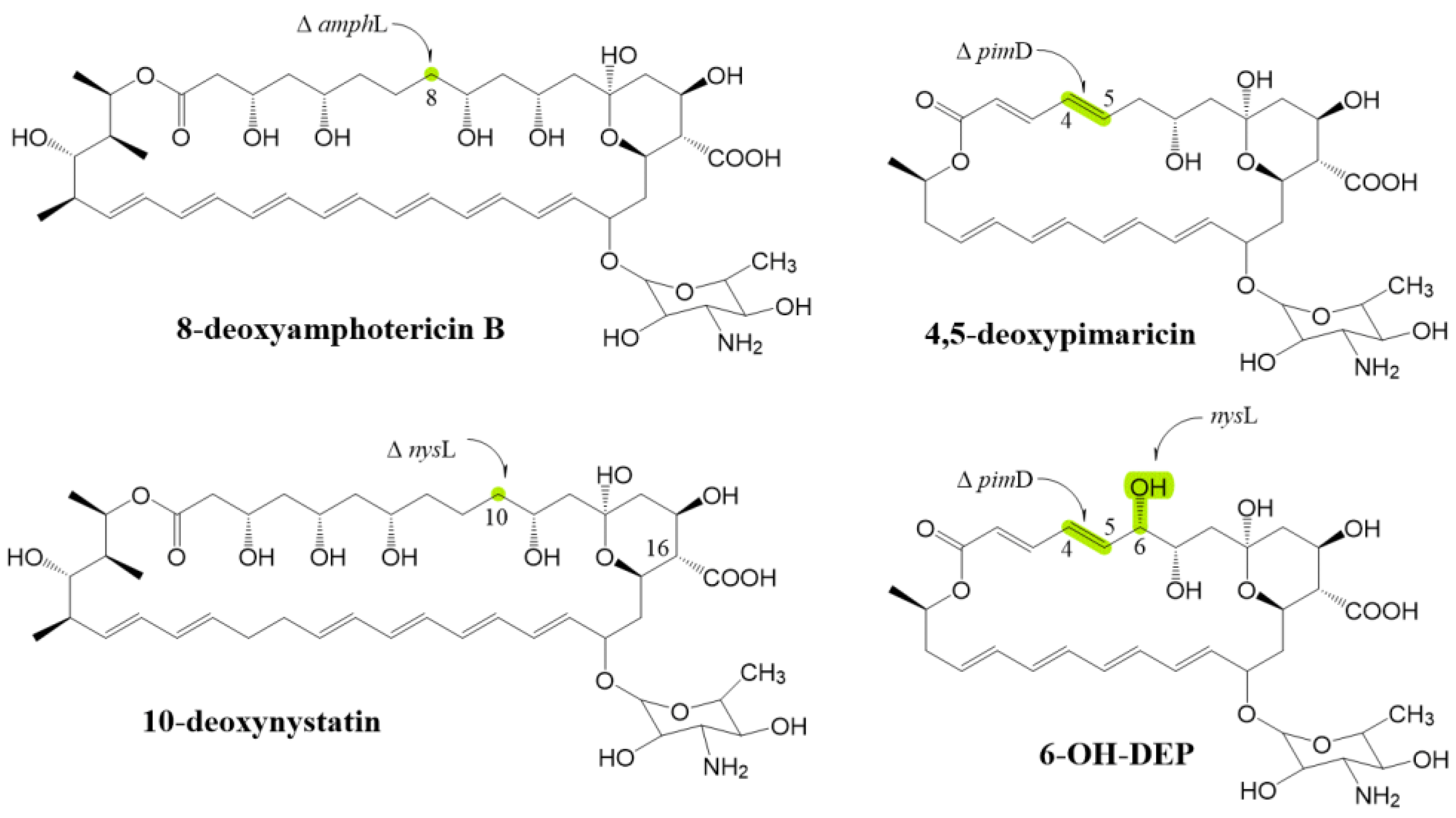 Antibiotics 12 00119 g008