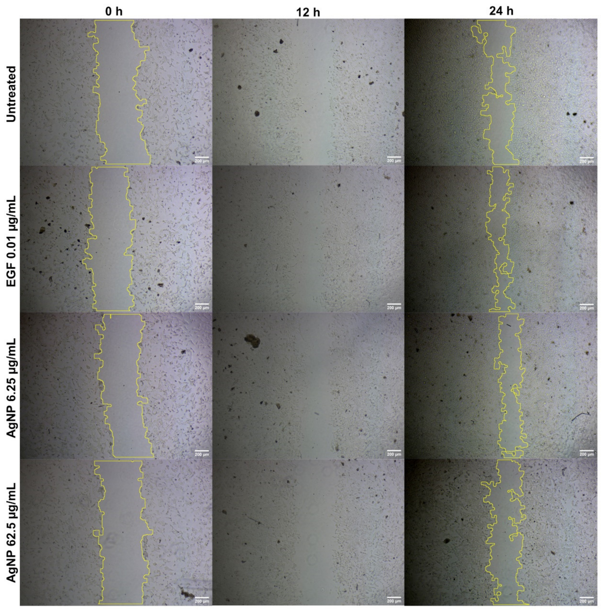 Antibiotics 12 00121 g004 Antibiotics 12 00121 g004
