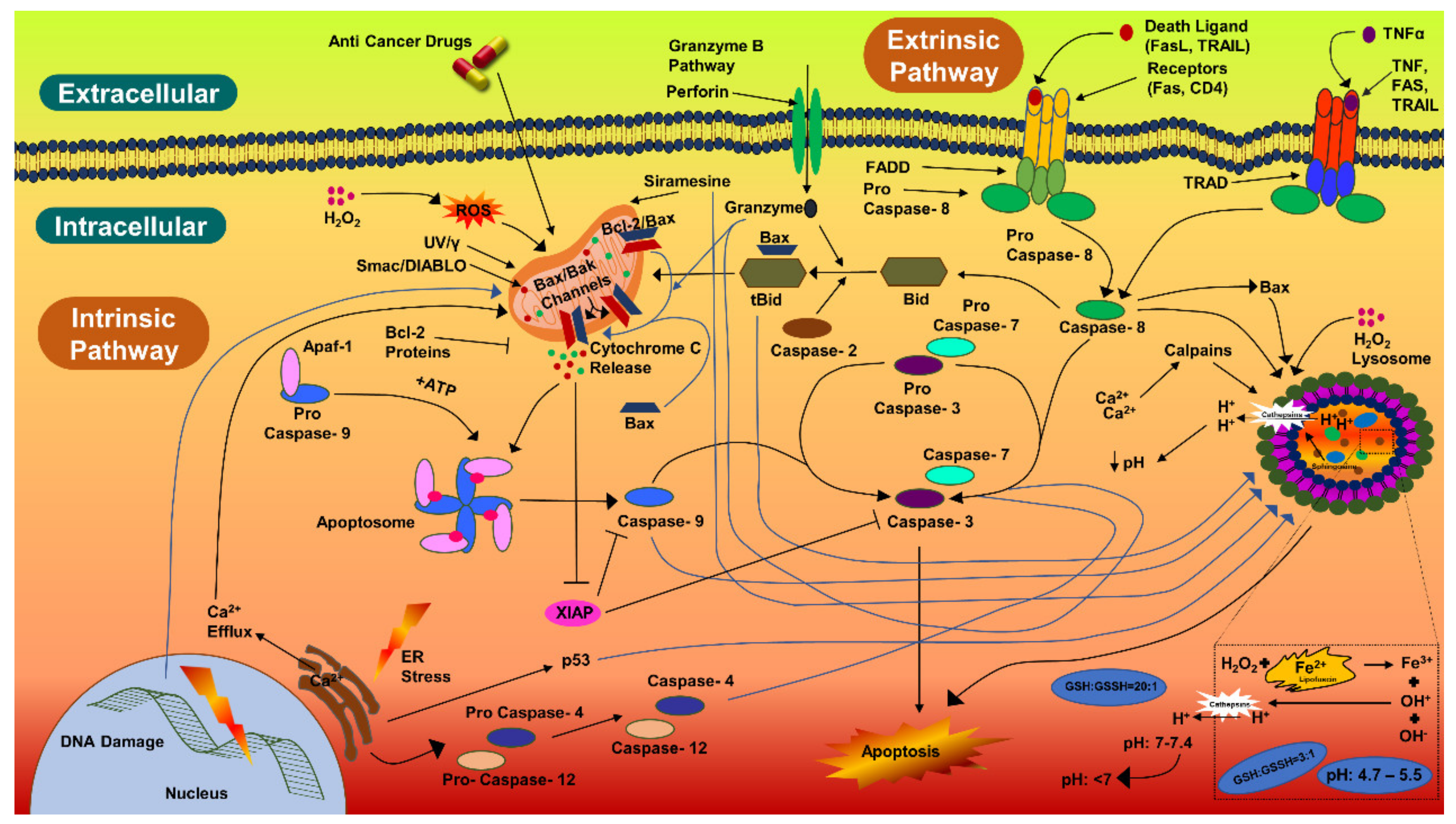 Antibiotics 12 00121 g006 Antibiotics 12 00121 g006