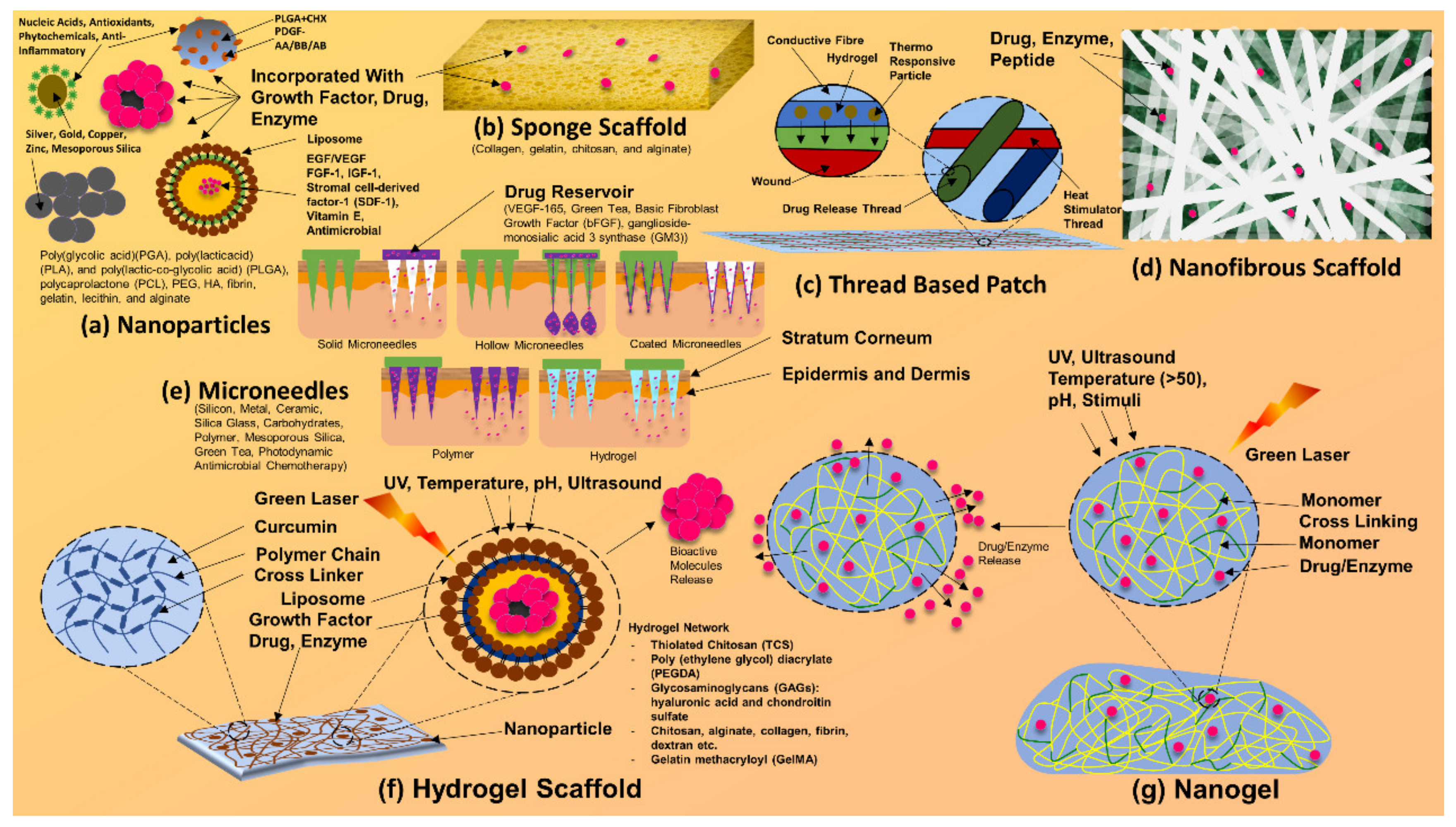 Antibiotics 12 00121 g007 Antibiotics 12 00121 g007