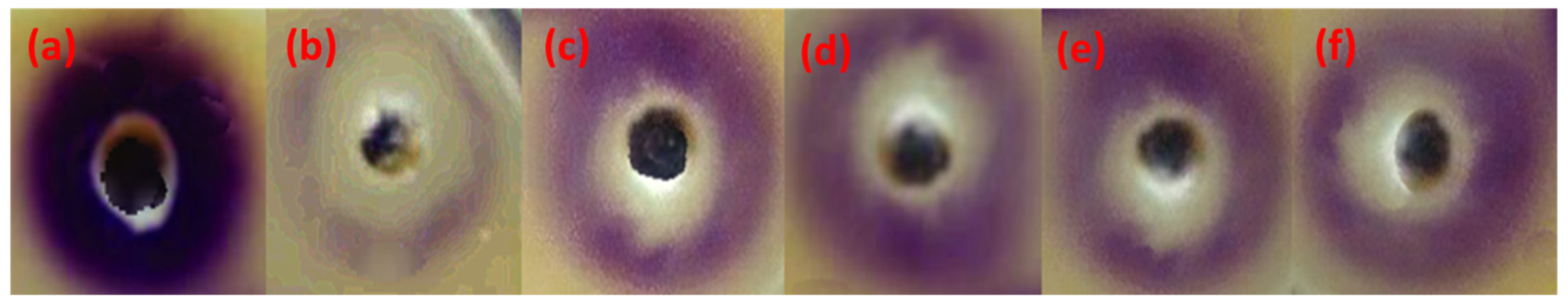 Antibiotics 12 00128 g004