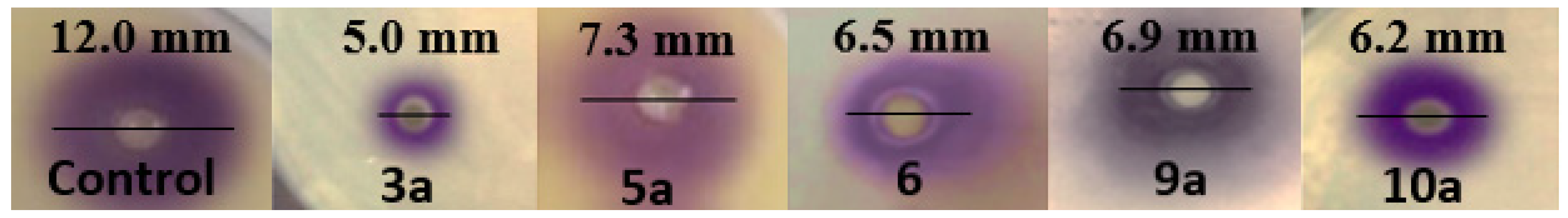 Antibiotics 12 00128 g005