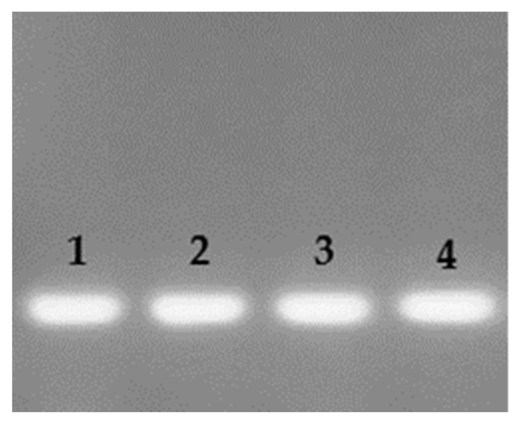 Antibiotics 12 00128 g007