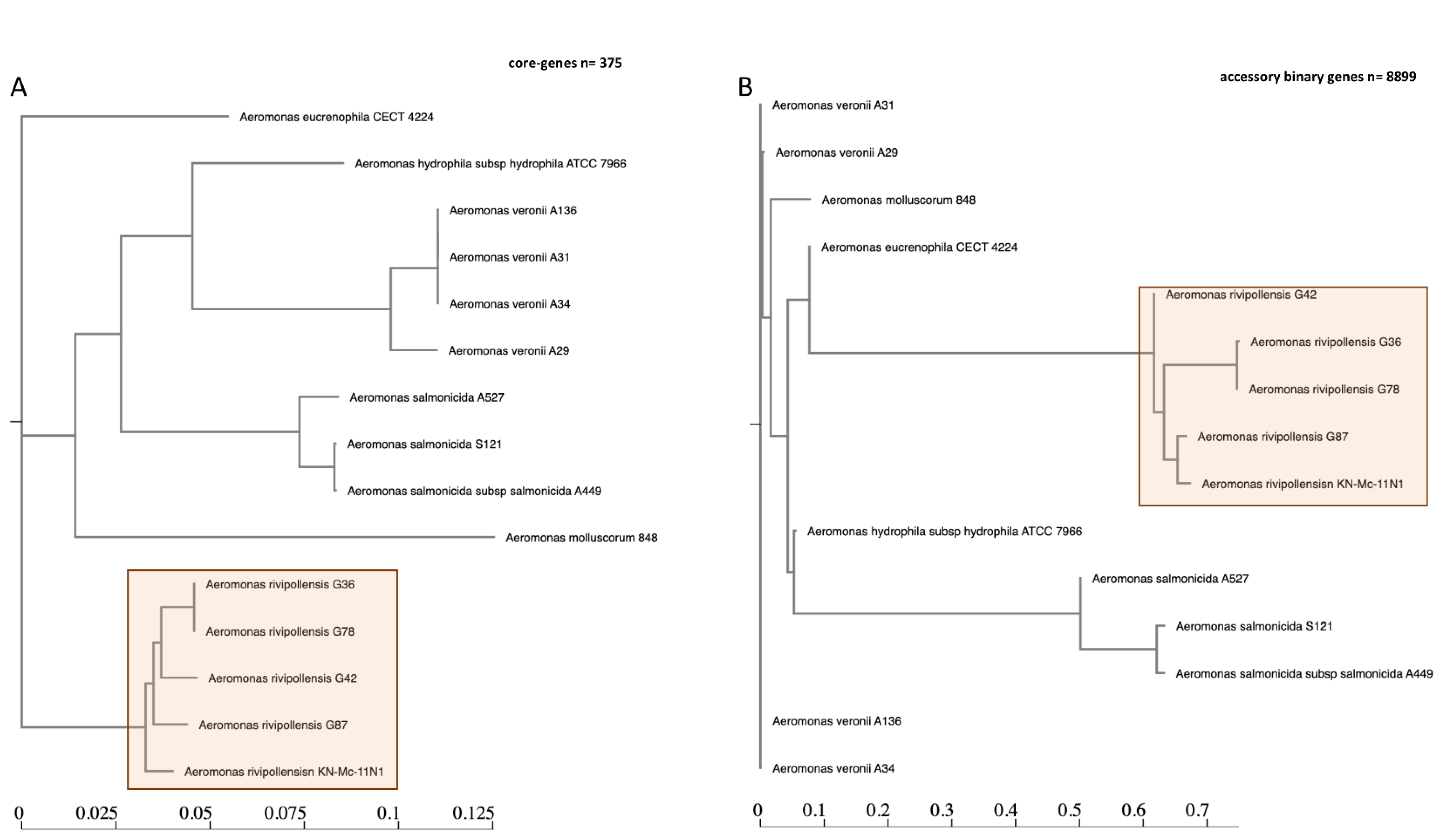 Comparative Genomics Revealed a Potential Threat of