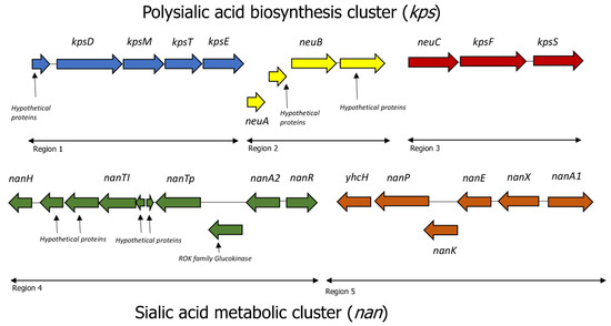 Comparative Genomics Revealed a Potential Threat of