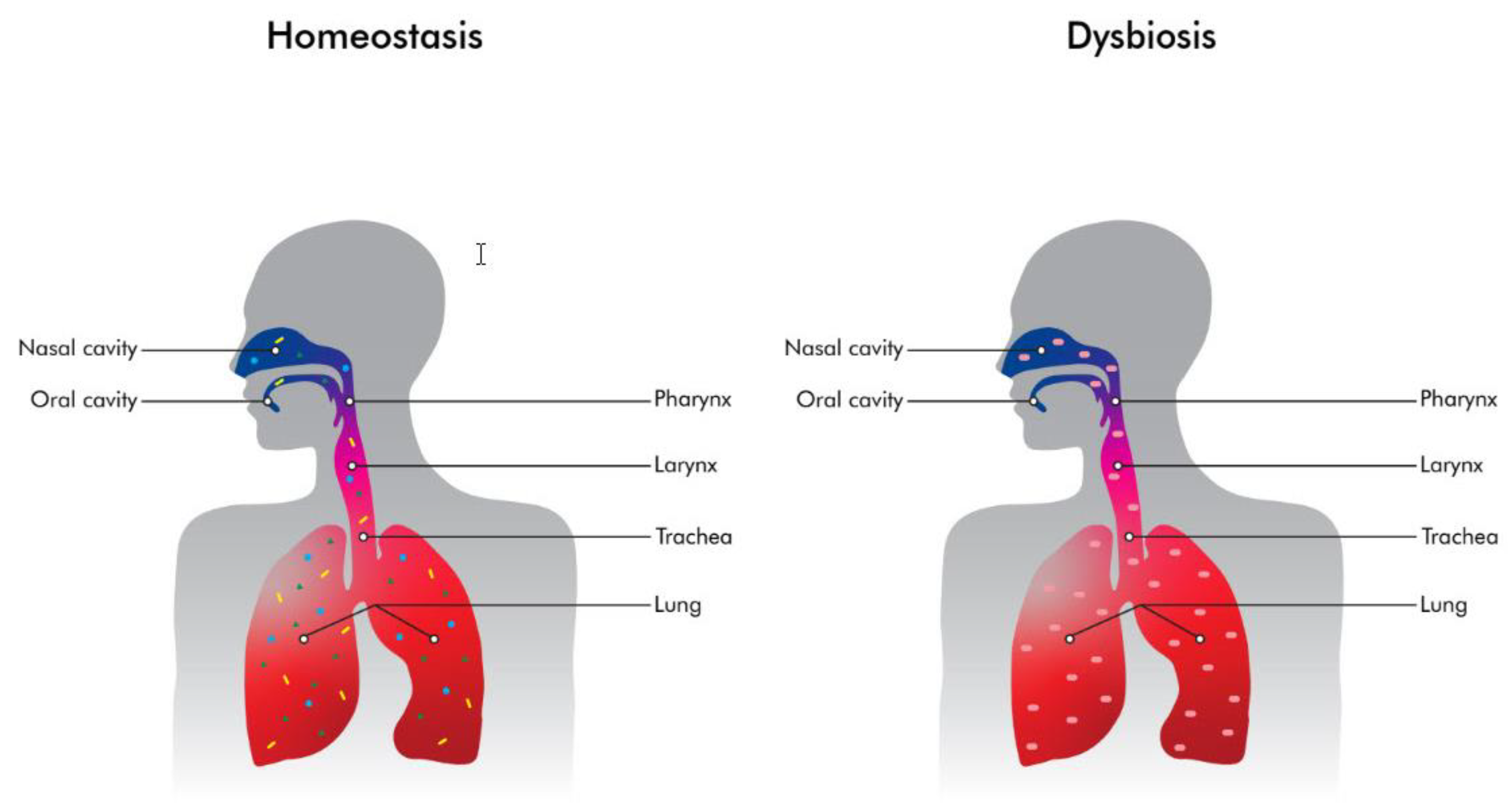 Antibiotics 12 00140 g001