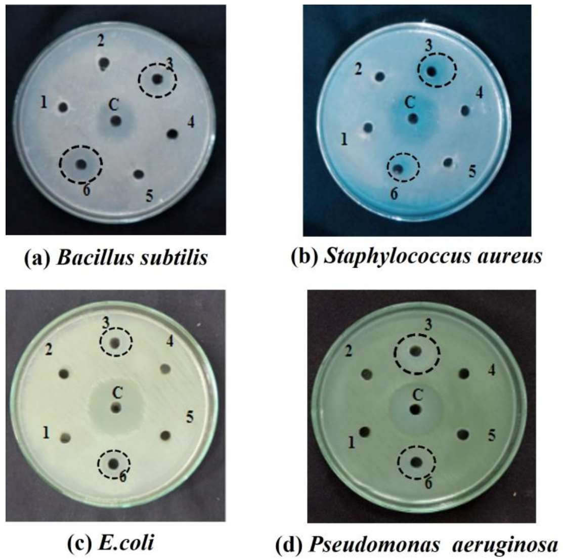 Antibiotics 12 00141 g002
