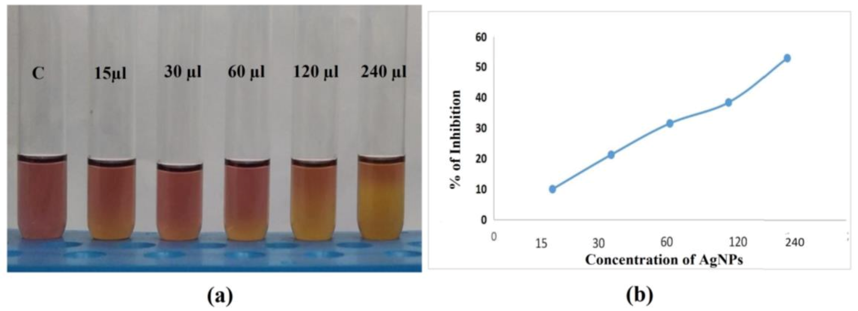 Antibiotics 12 00141 g012