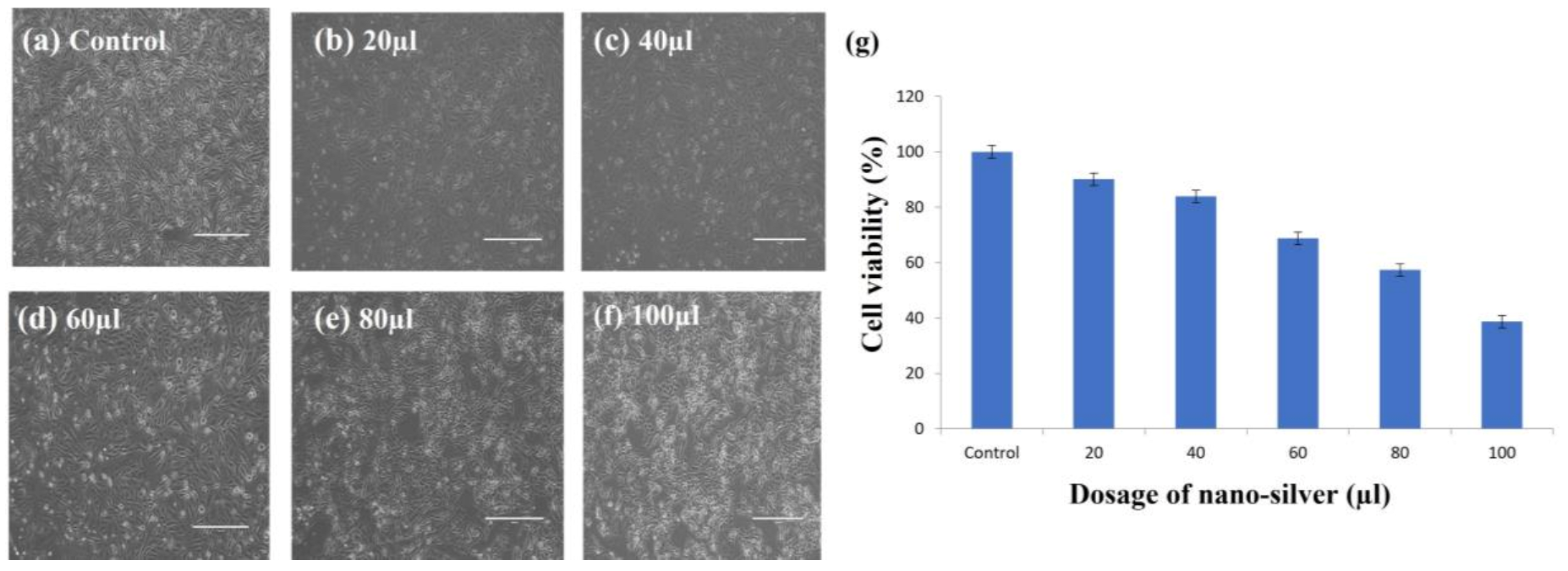 Antibiotics 12 00141 g013