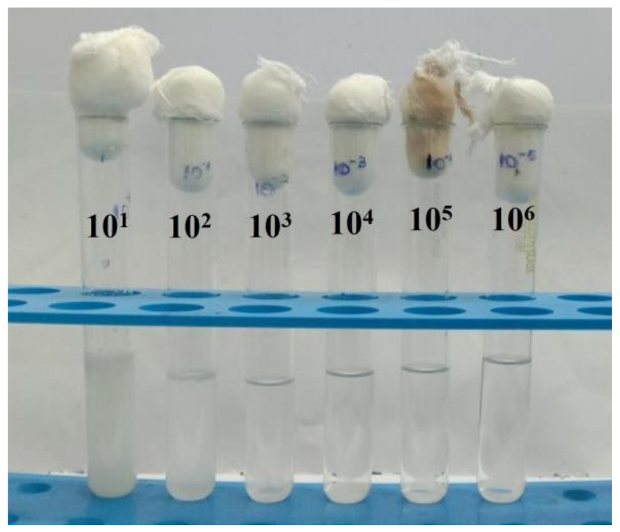 Antibiotics 12 00141 g015