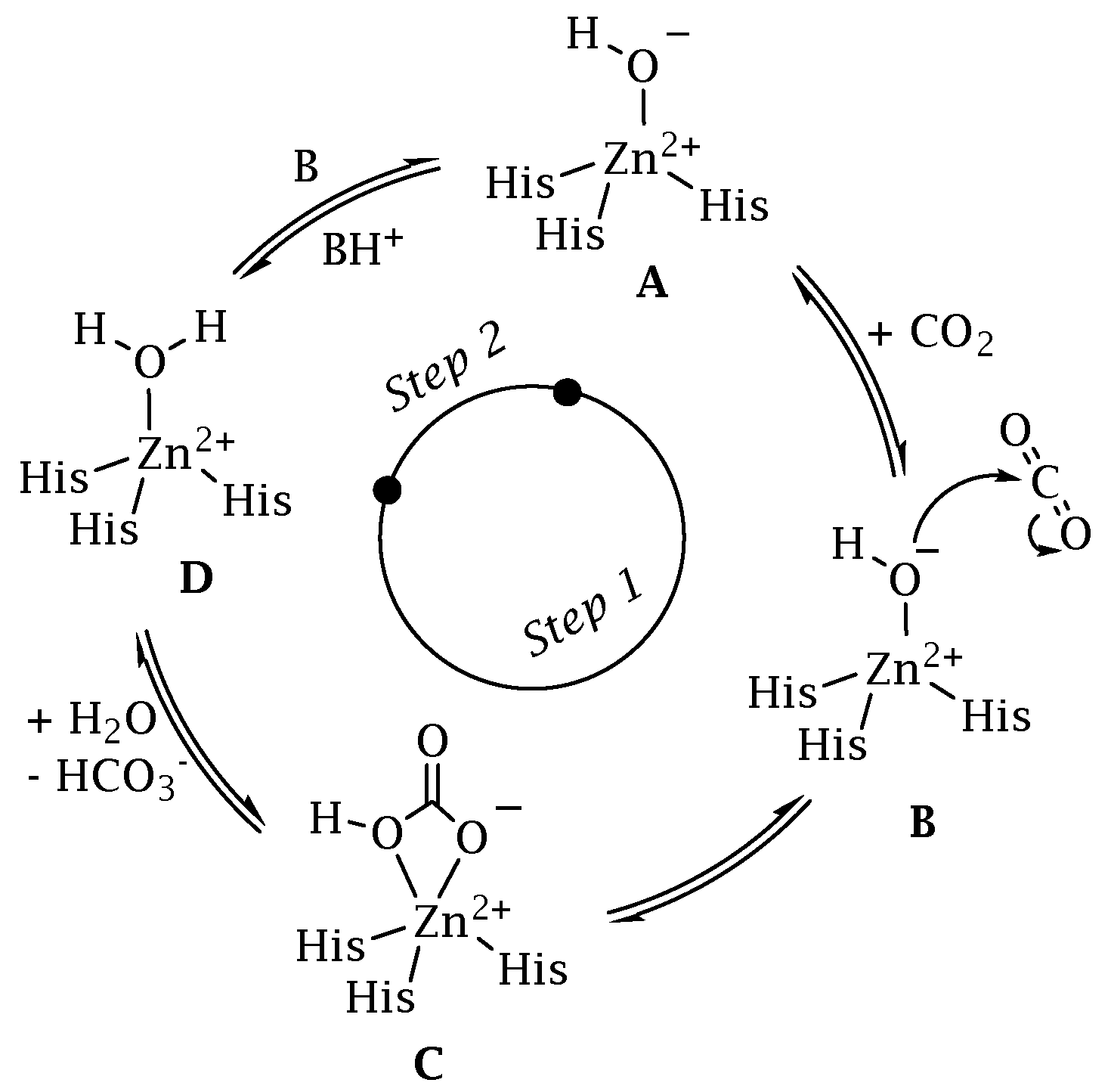Antibiotics 12 00142 g002