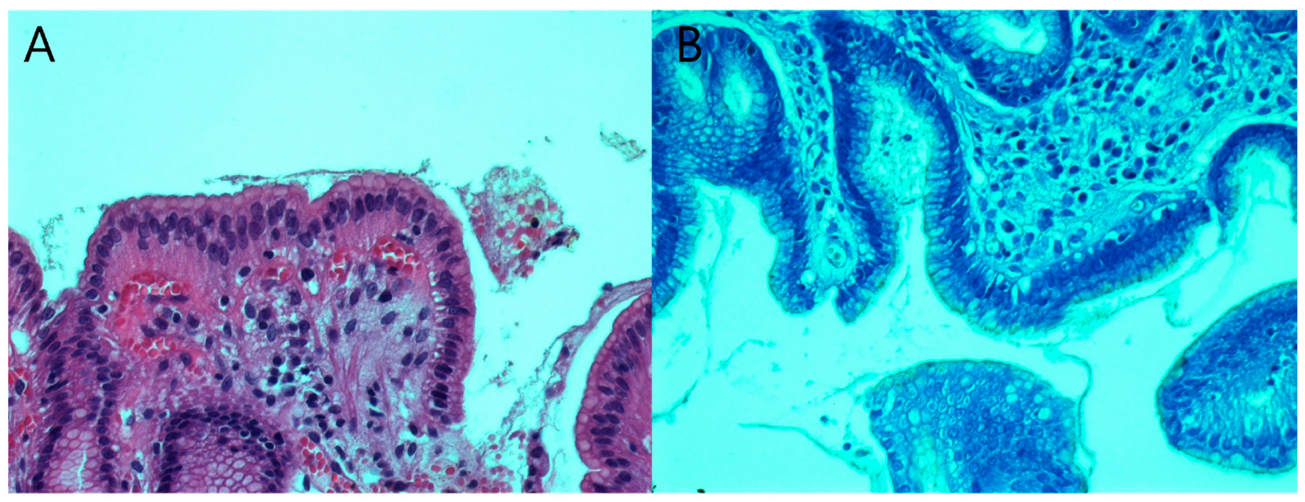 Antibiotics 12 00146 g002 Antibiotics 12 00146 g002