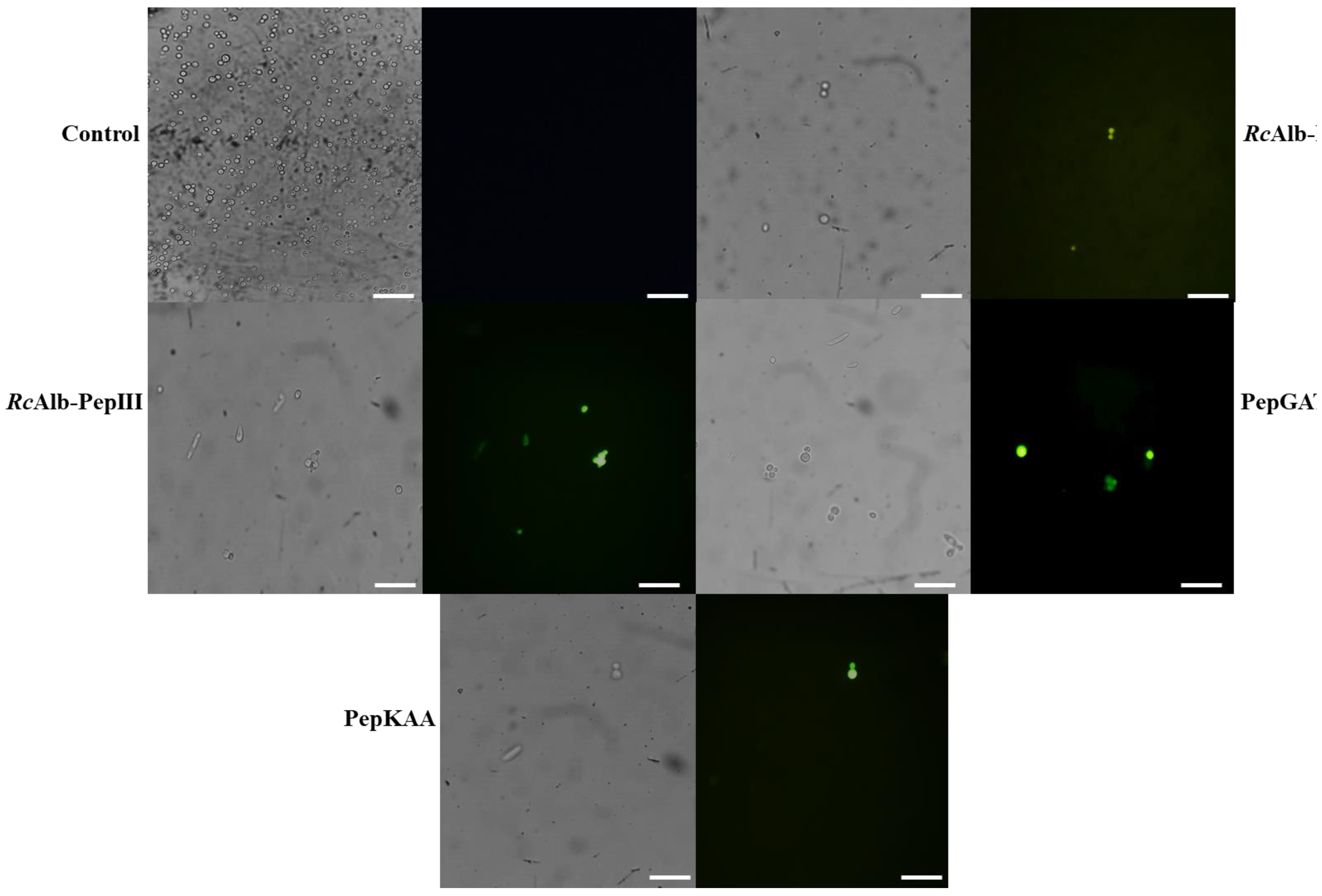 Antibiotics 12 00153 g002