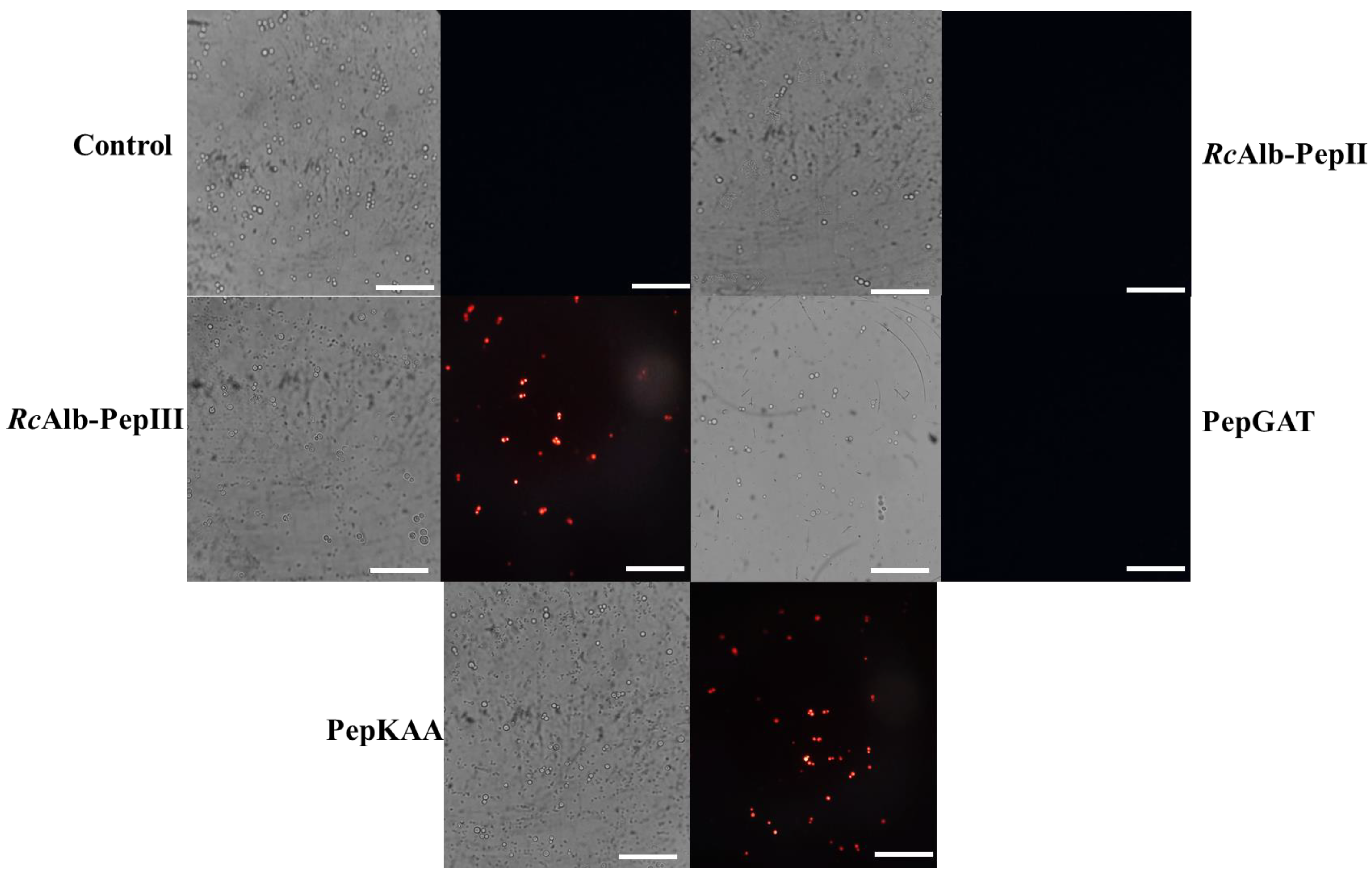 Antibiotics 12 00153 g005