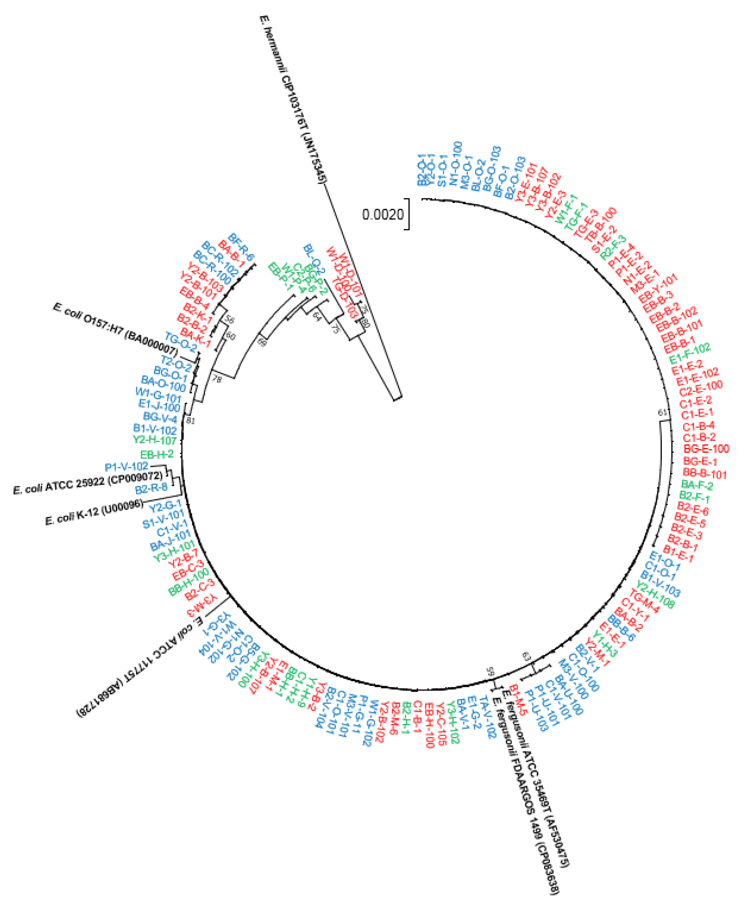 Antibiotics 12 00154 g001 Antibiotics 12 00154 g001