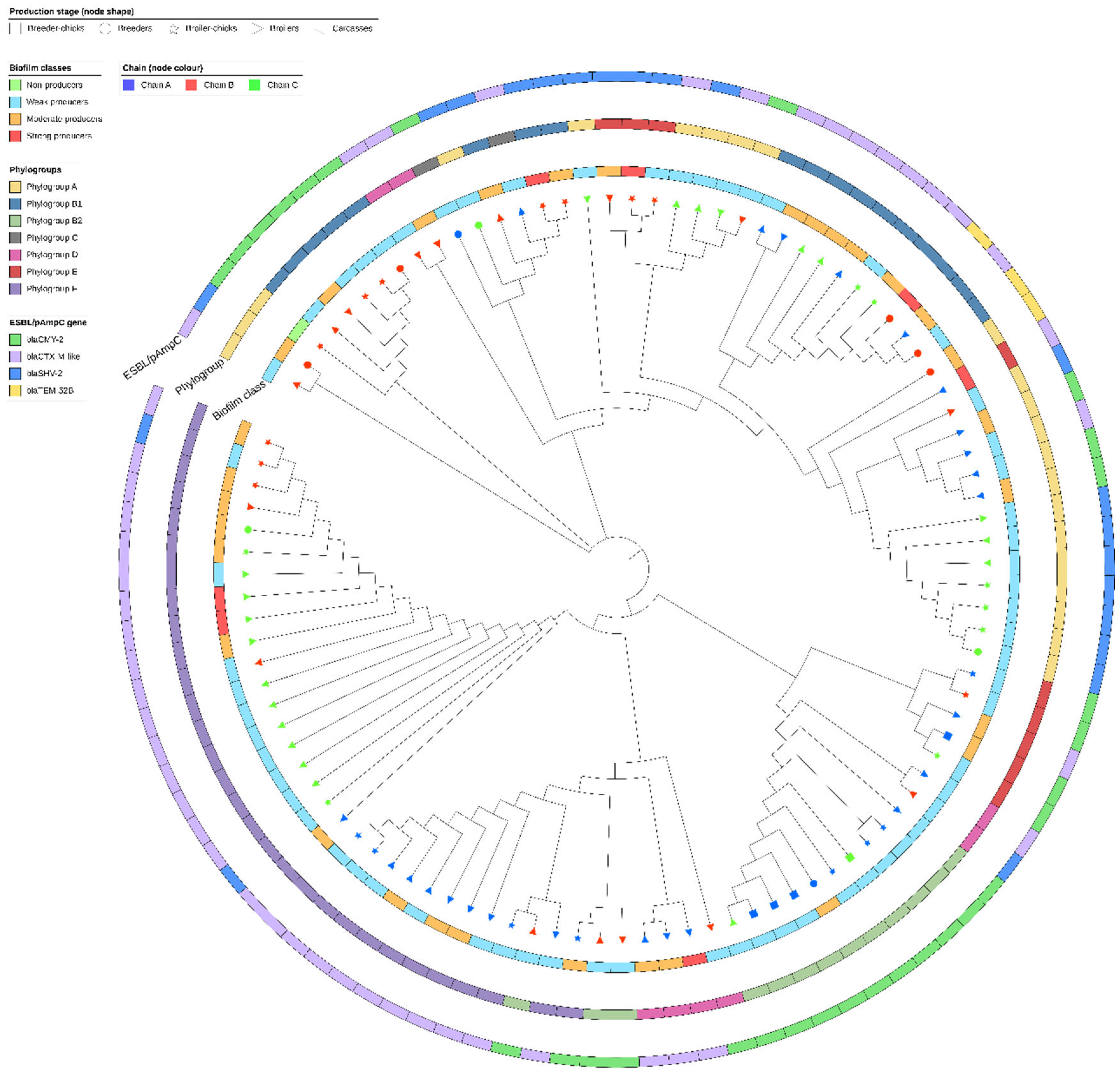 Antibiotics 12 00155 g004 Antibiotics 12 00155 g004
