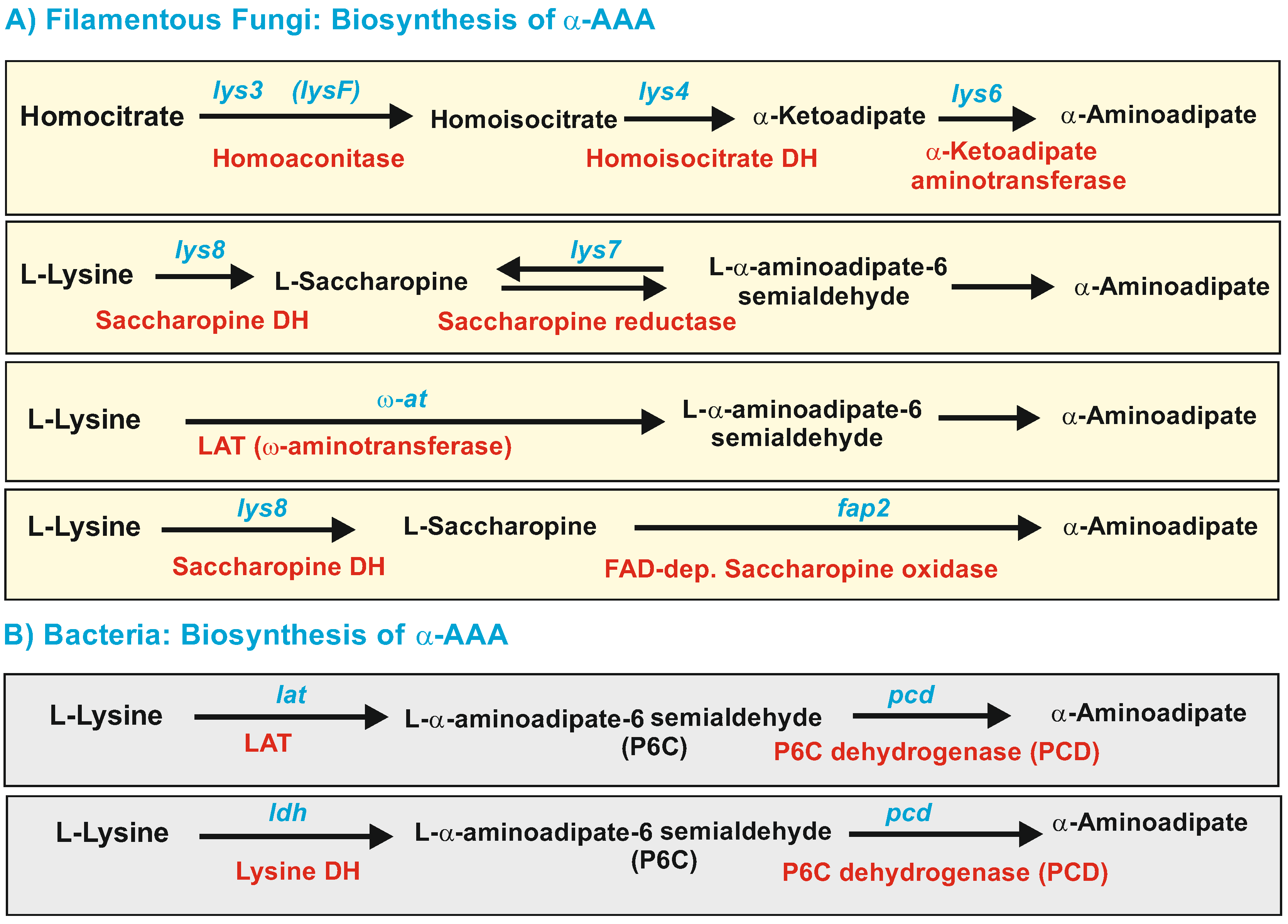 Antibiotics 12 00159 g003 Antibiotics 12 00159 g003