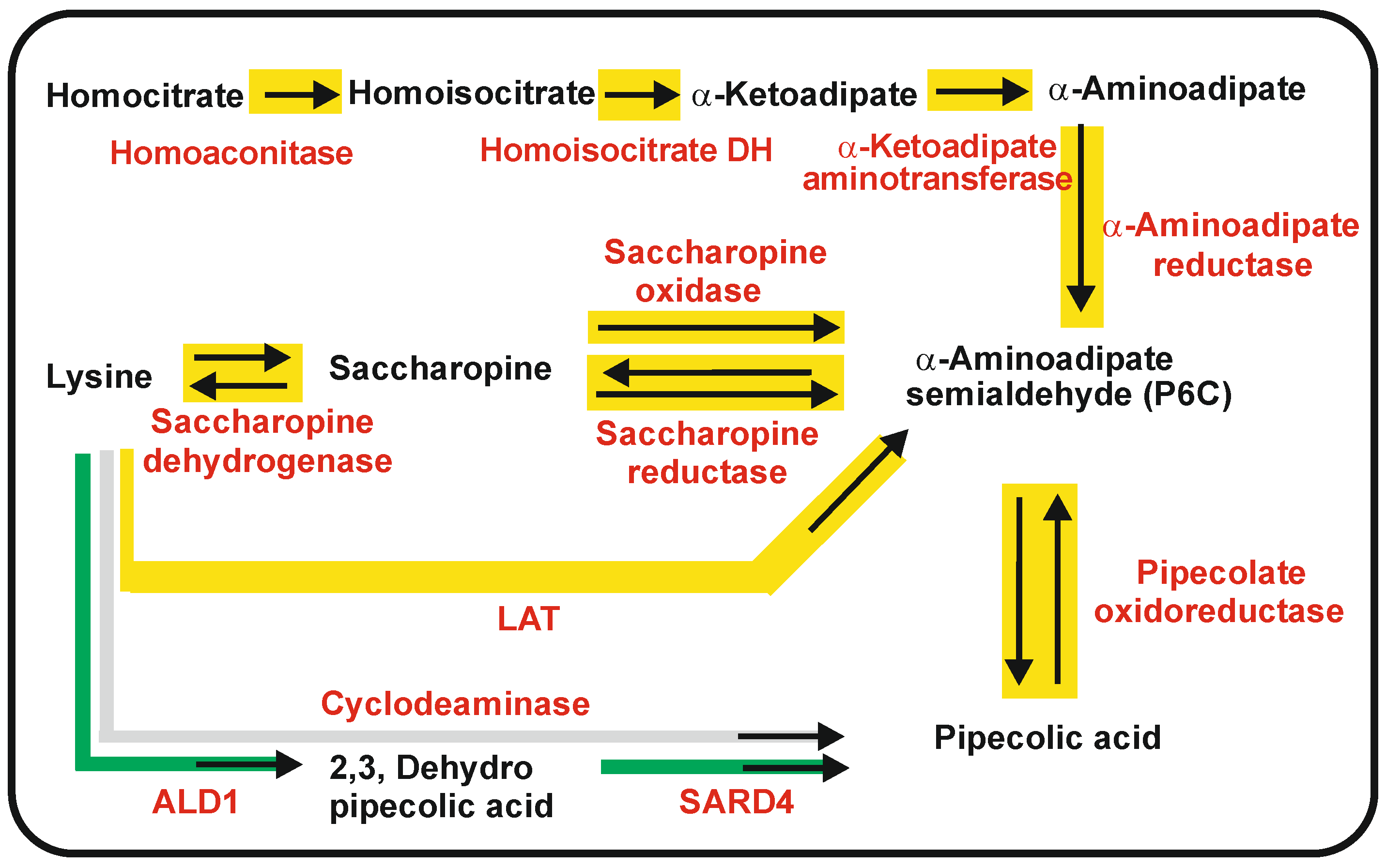 Antibiotics 12 00159 g004 Antibiotics 12 00159 g004