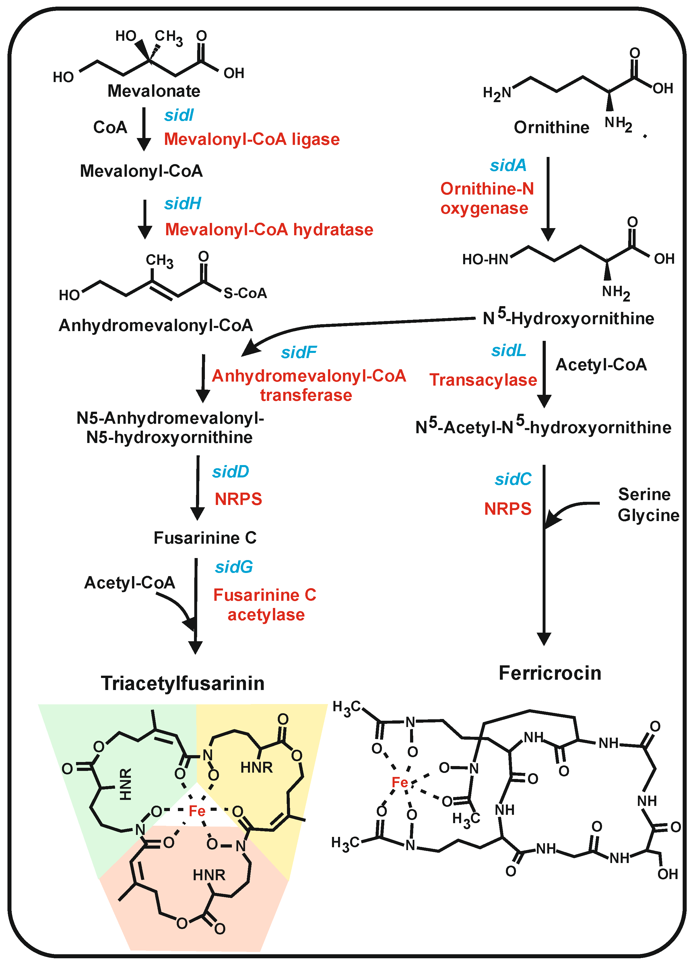 Antibiotics 12 00159 g006 Antibiotics 12 00159 g006