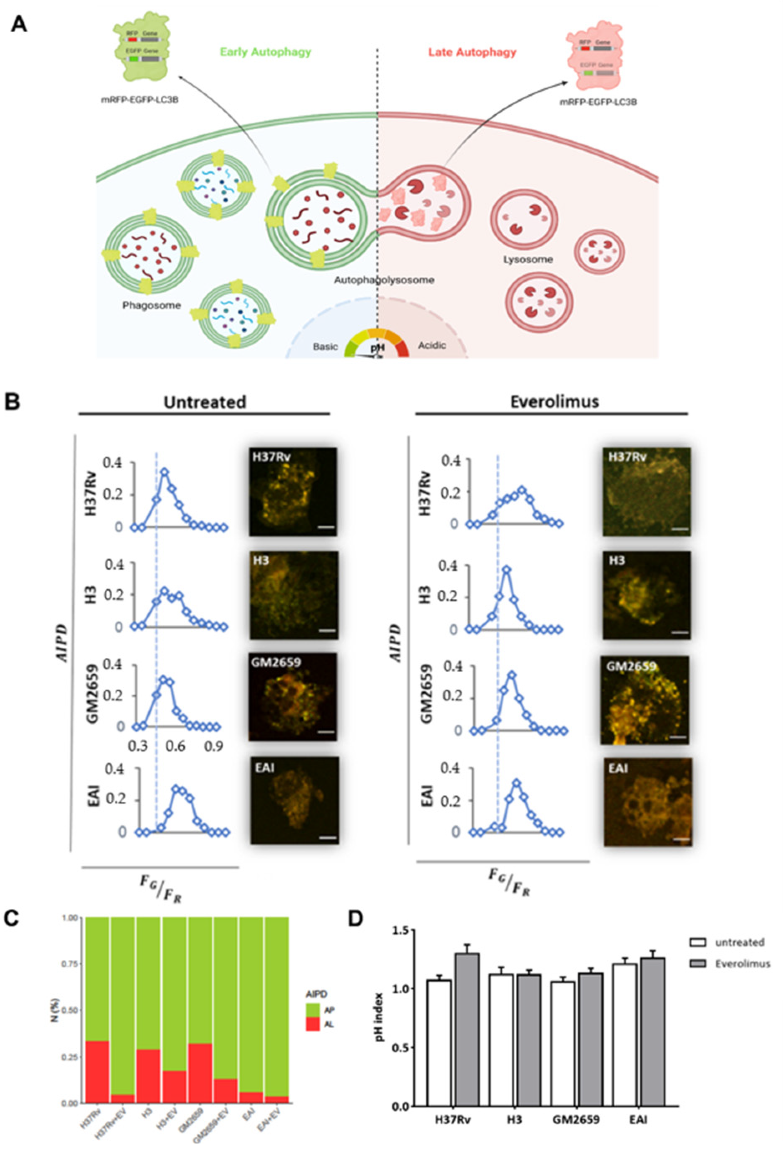 Antibiotics 12 00171 g003