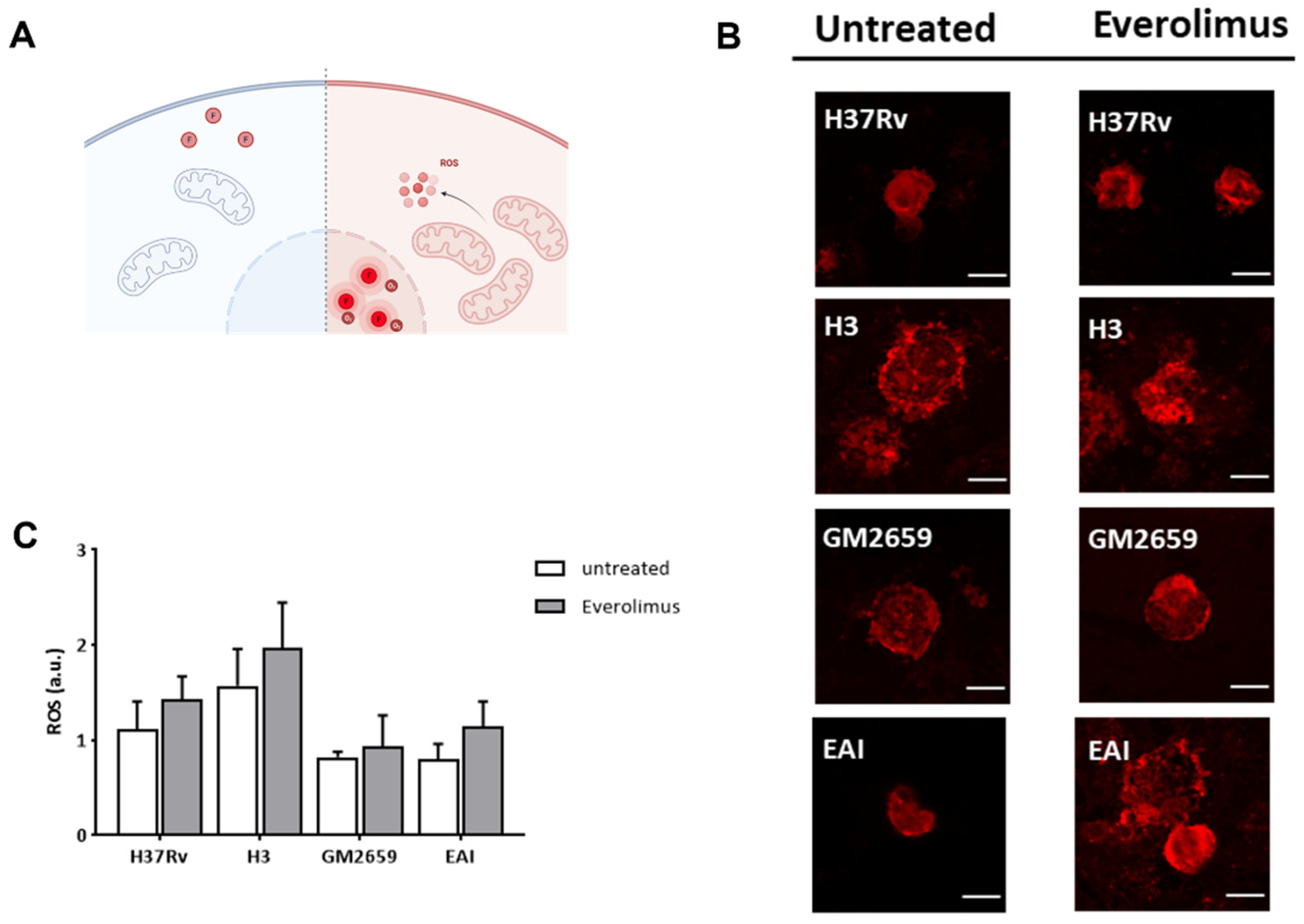 Antibiotics 12 00171 g004