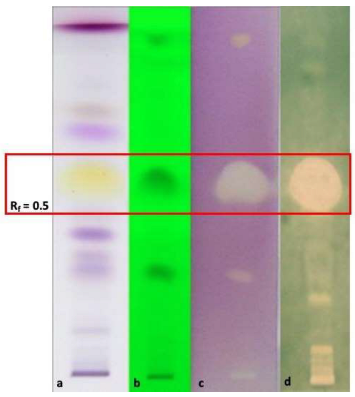 Antibiotics 12 00177 g001 Antibiotics 12 00177 g001