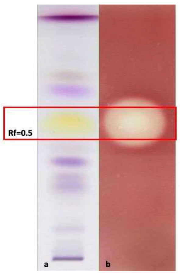 Antibiotics 12 00177 g003 Antibiotics 12 00177 g003