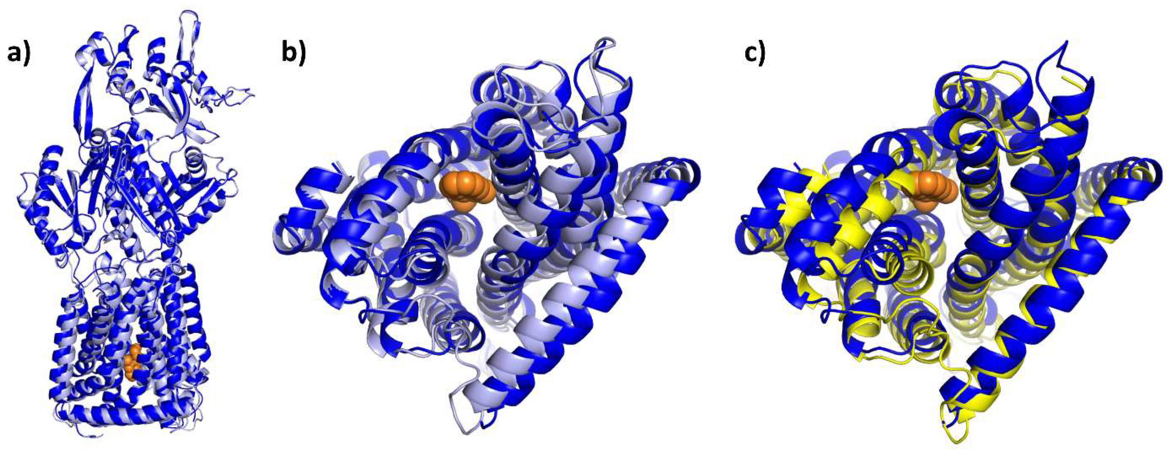 Antibiotics 12 00180 g015
