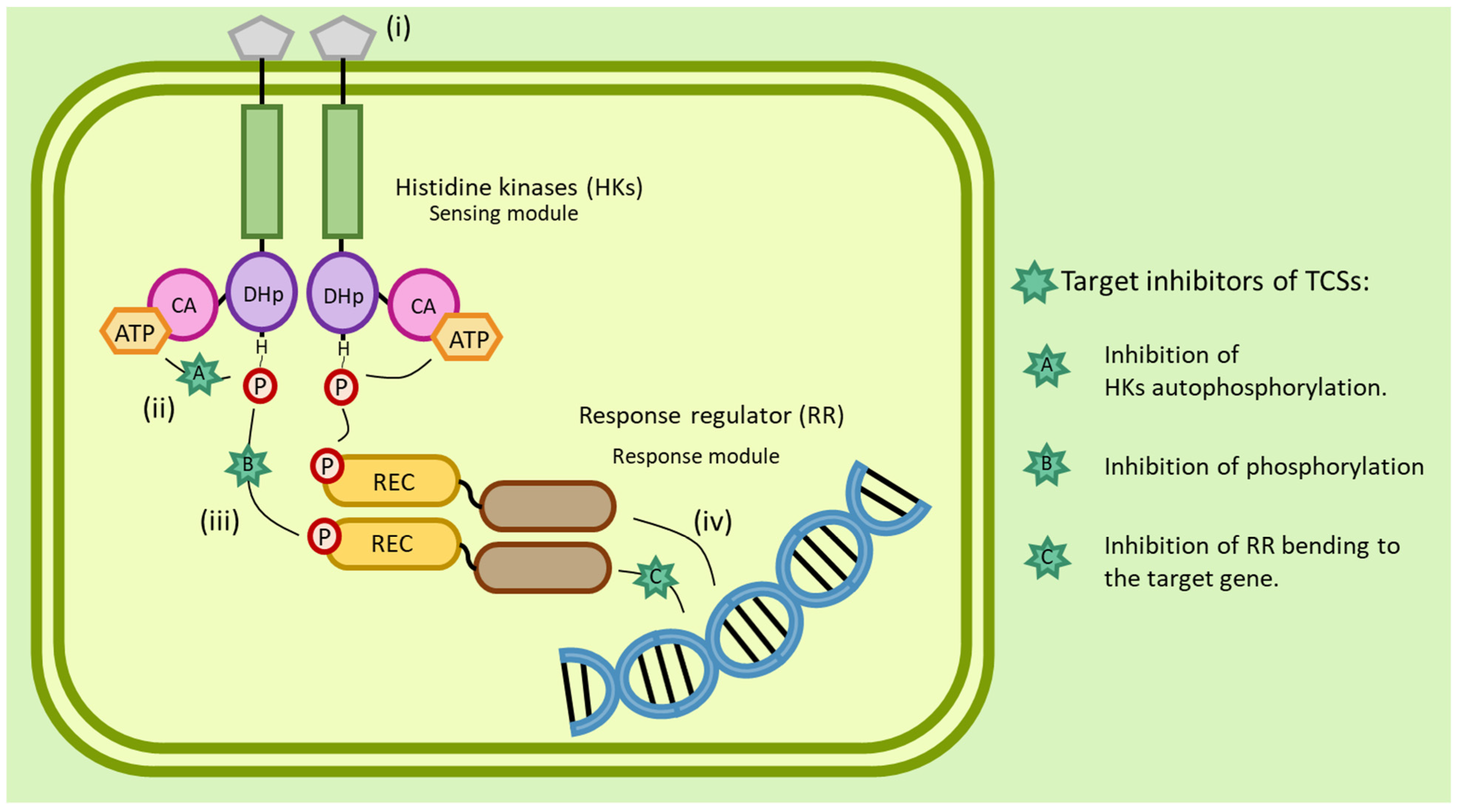 Antibiotics 12 00190 g003